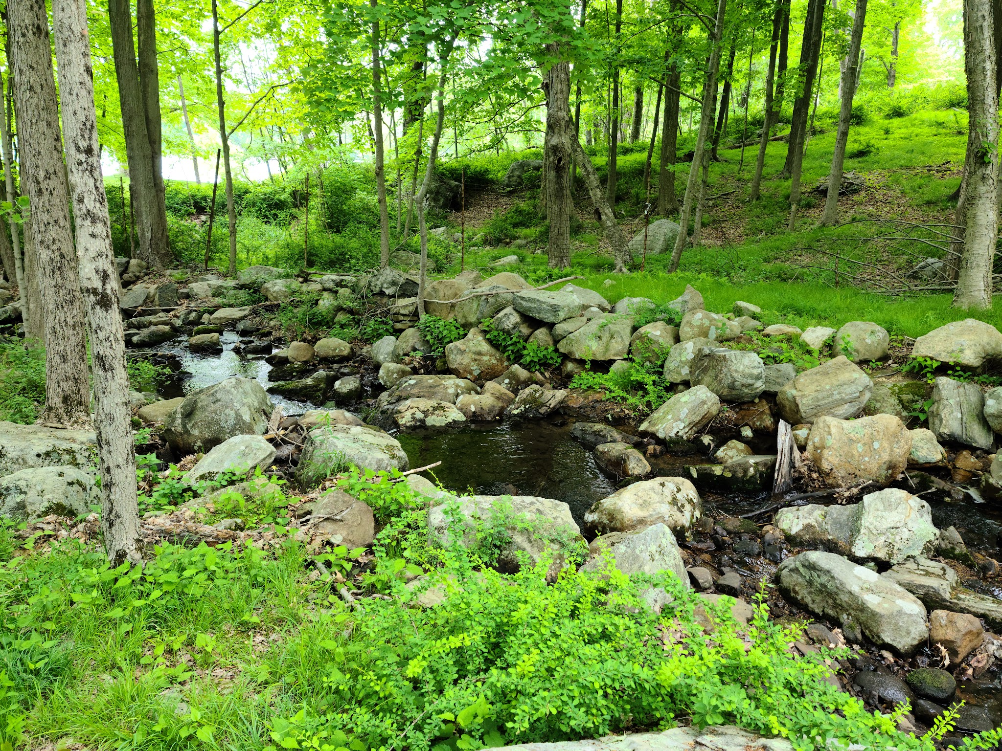 Sebago Cabins State Park
