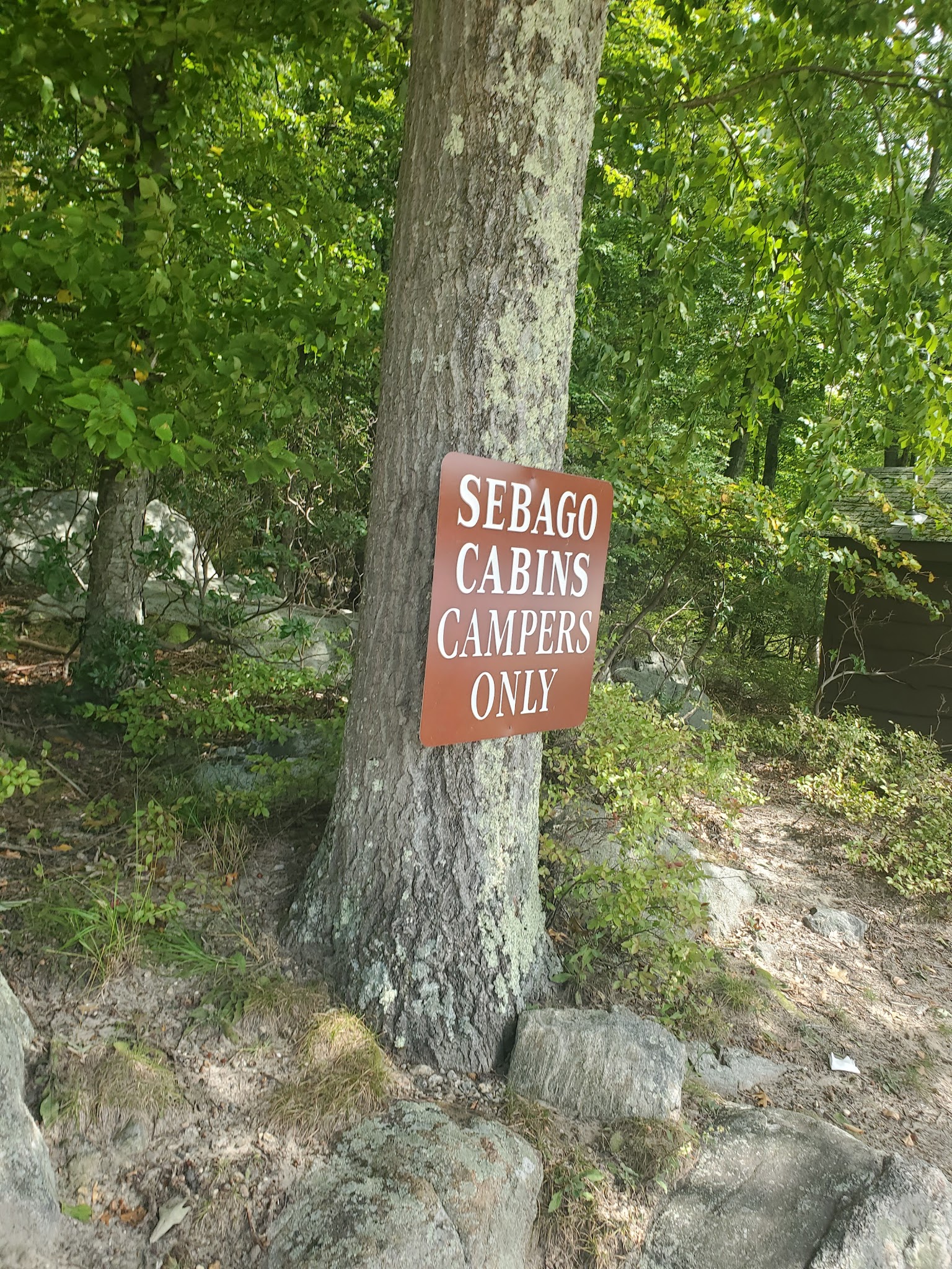 Sebago Cabins State Park