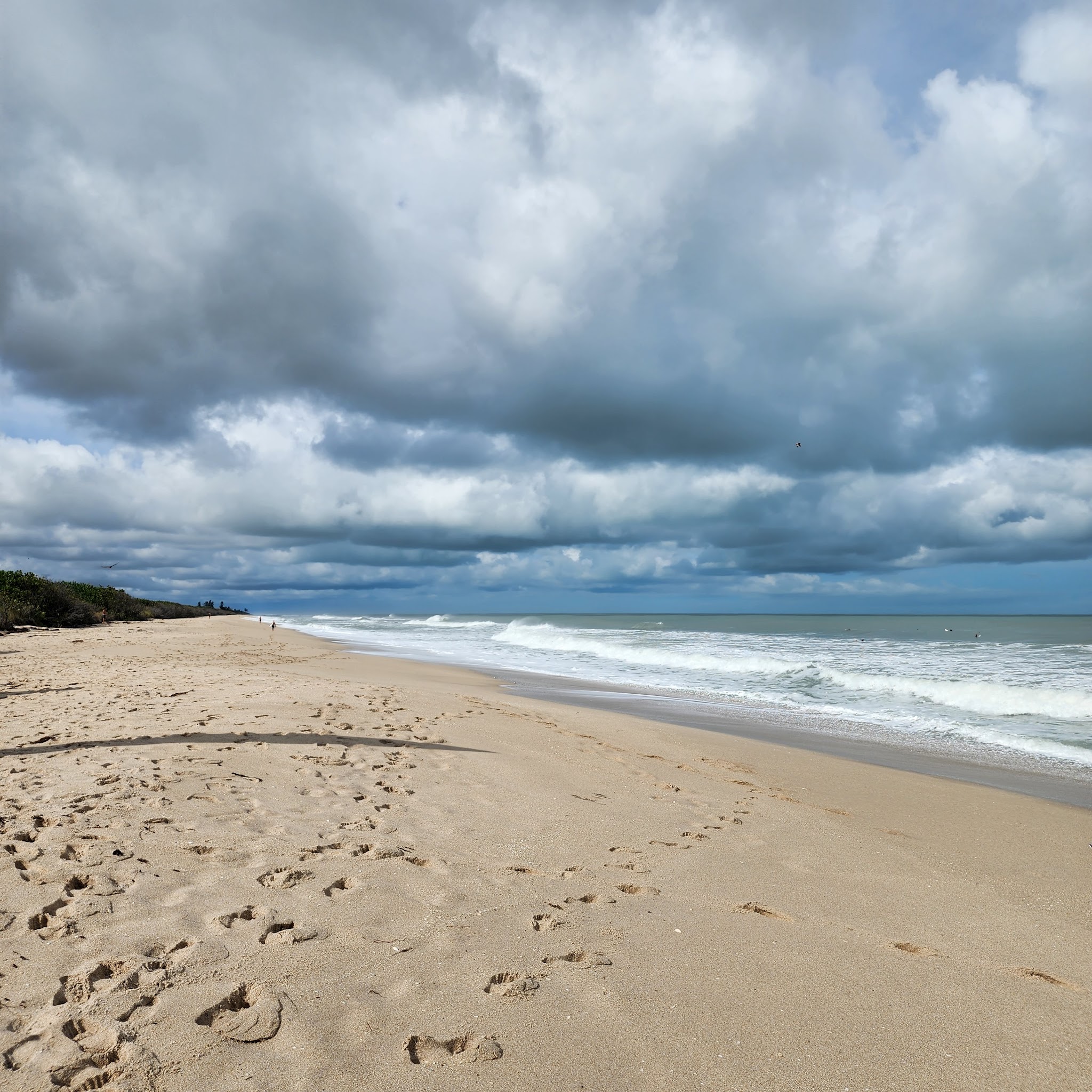 Sebastian Inlet State Park Campground