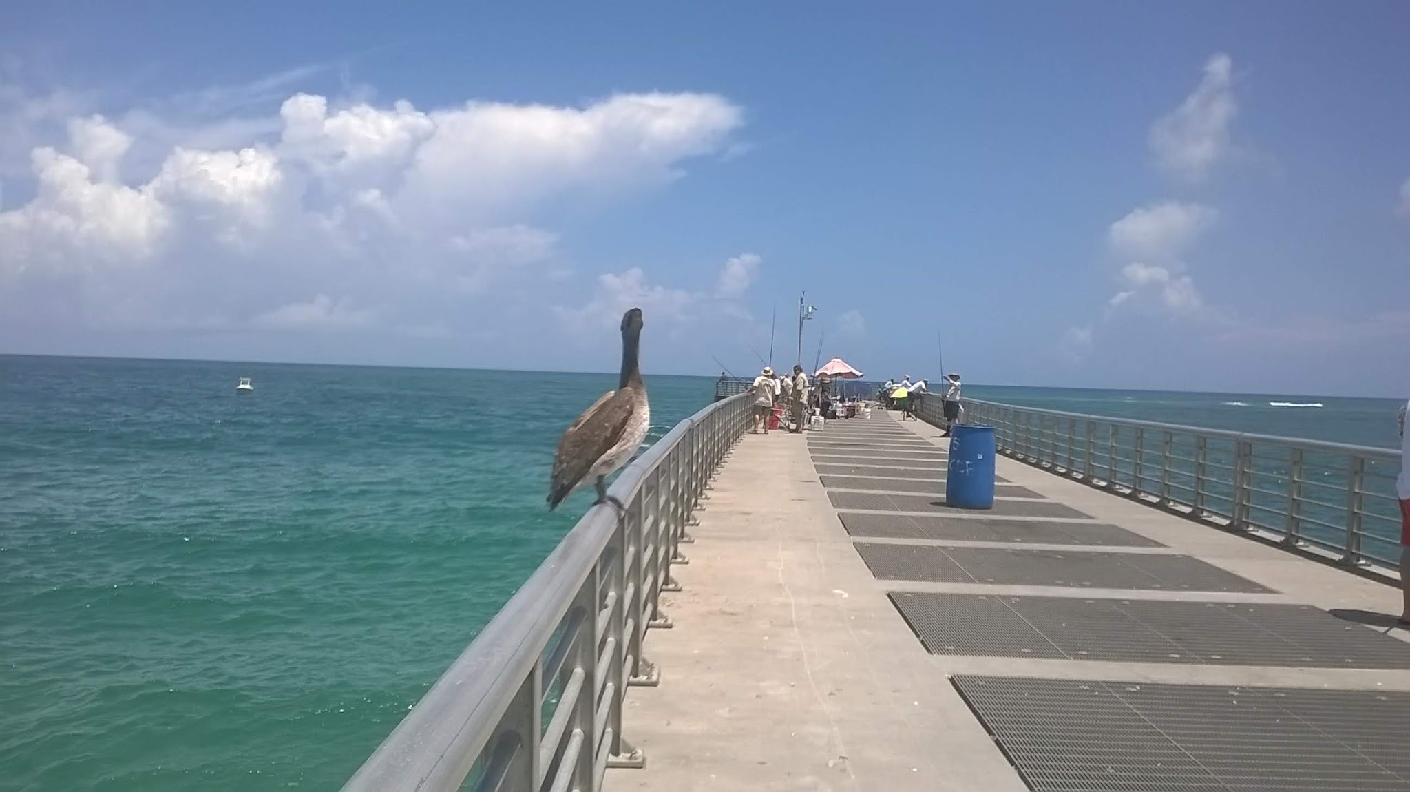 Sebastian Inlet State Park Campground