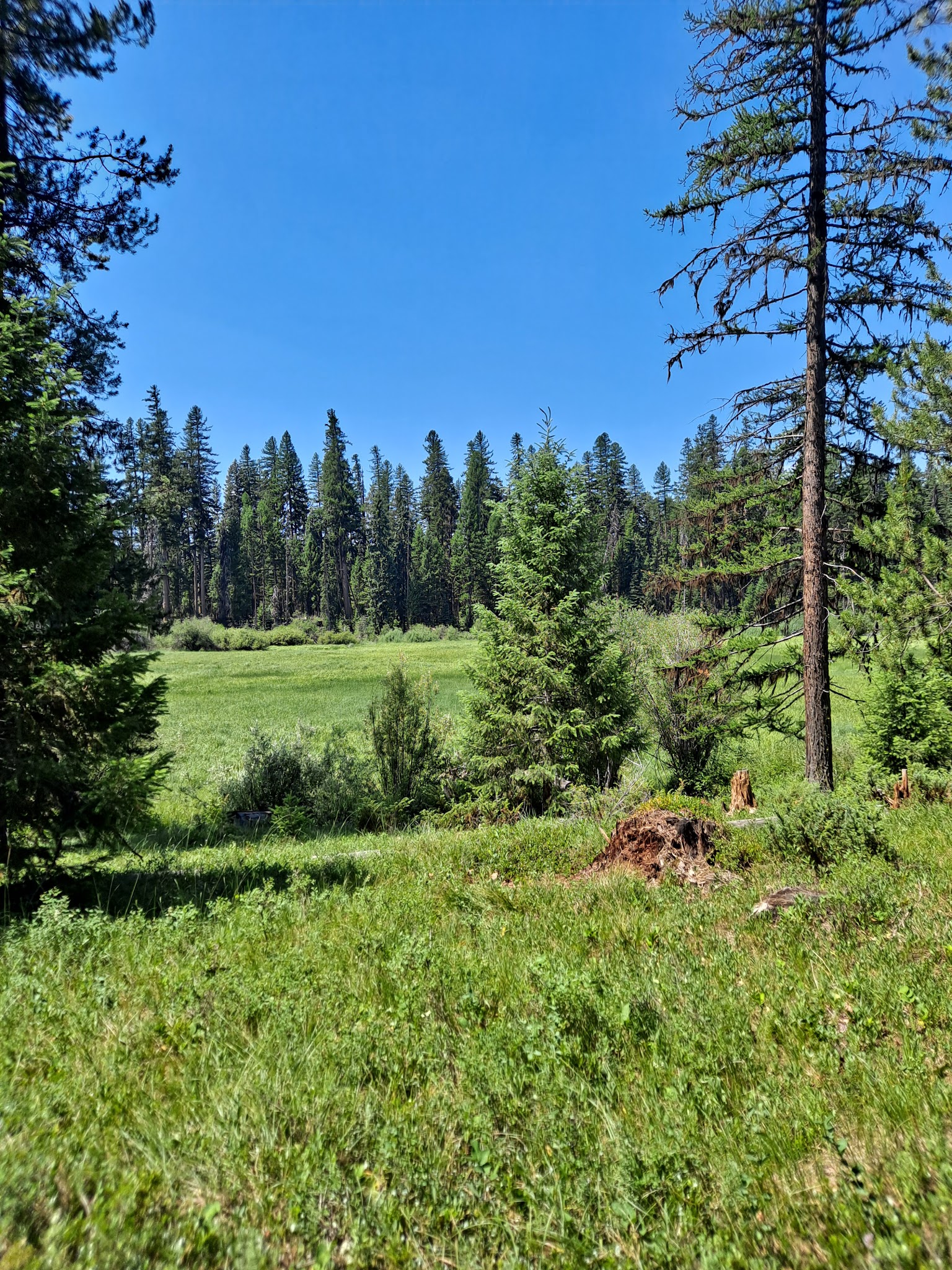 Seeley Lake Campground