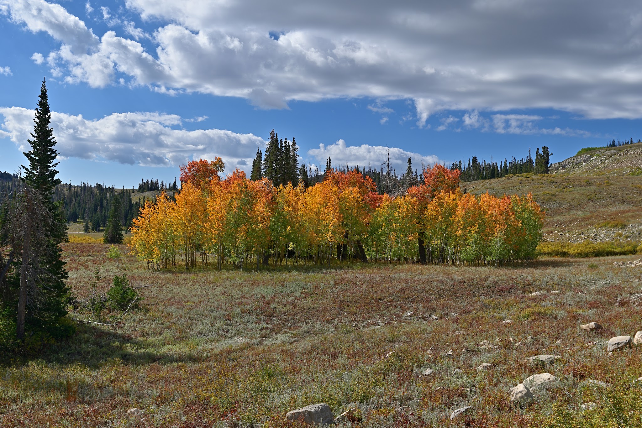 Seely Creek Guard Station