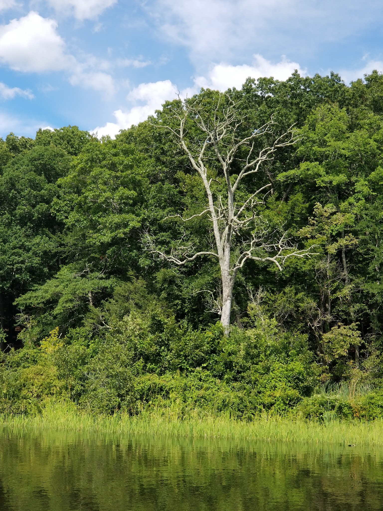 Selden Neck State Park River Camping