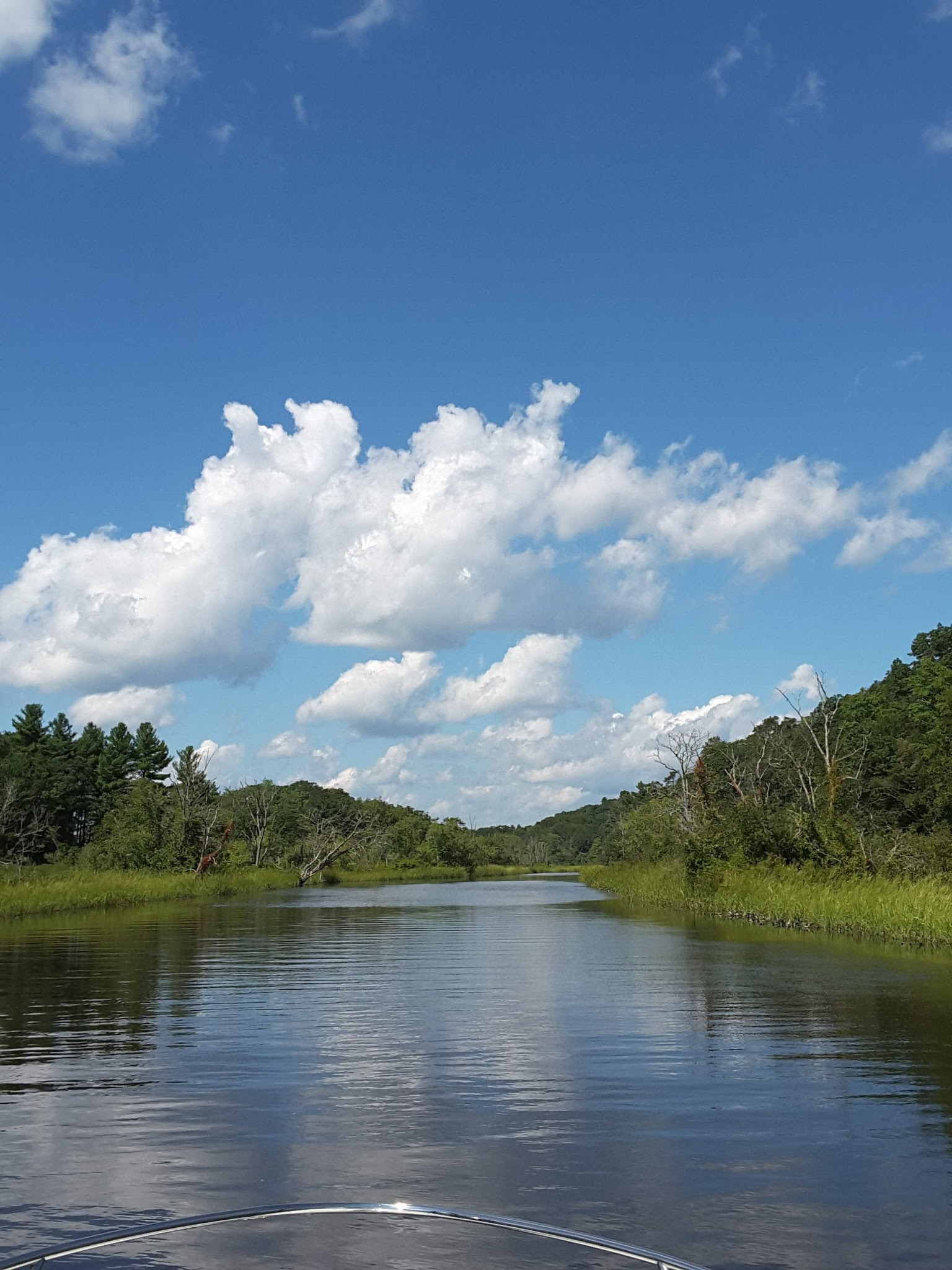Selden Neck State Park River Camping