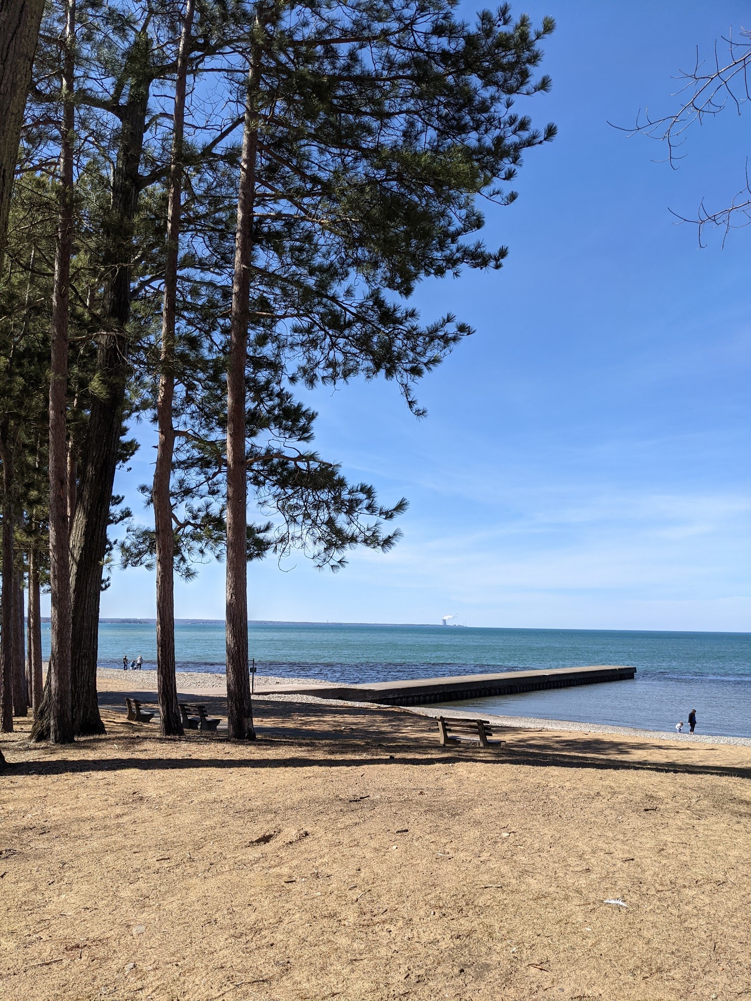 Selkirk Shores State Park