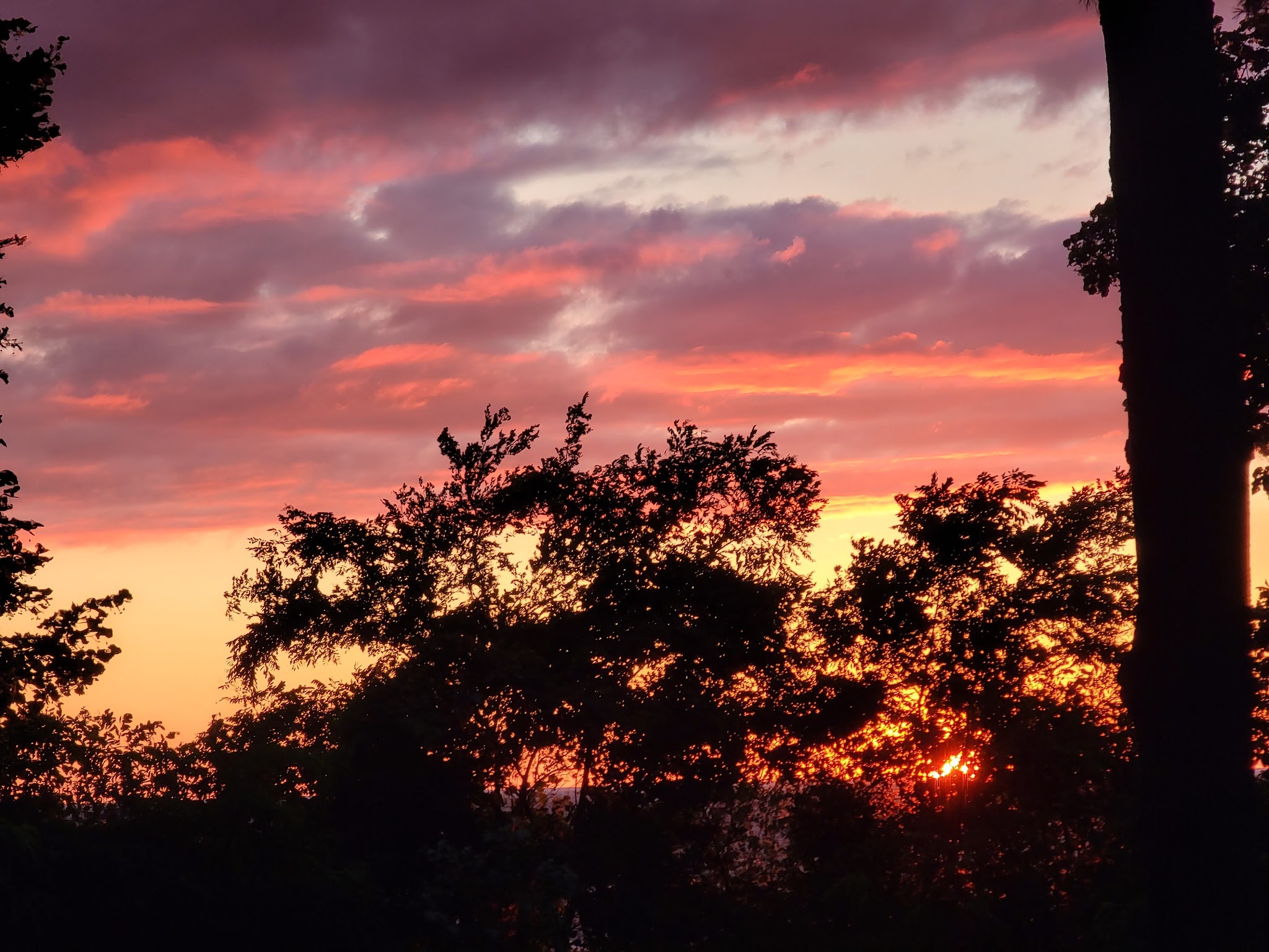 Selkirk Shores State Park