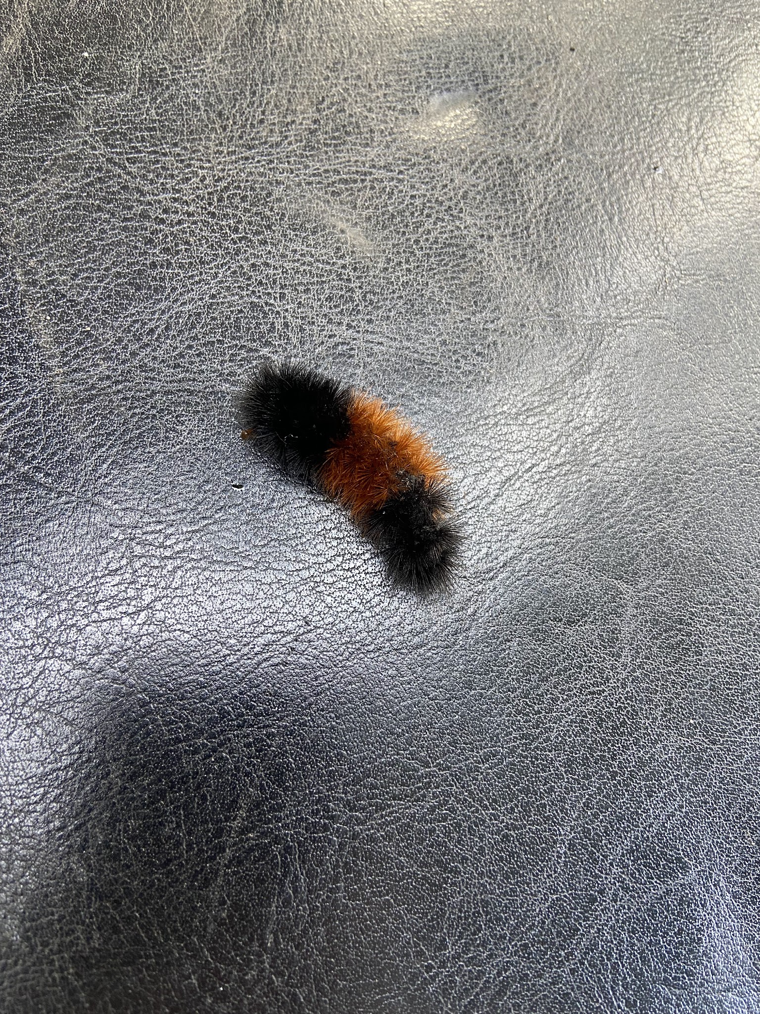 Selway Falls Campground