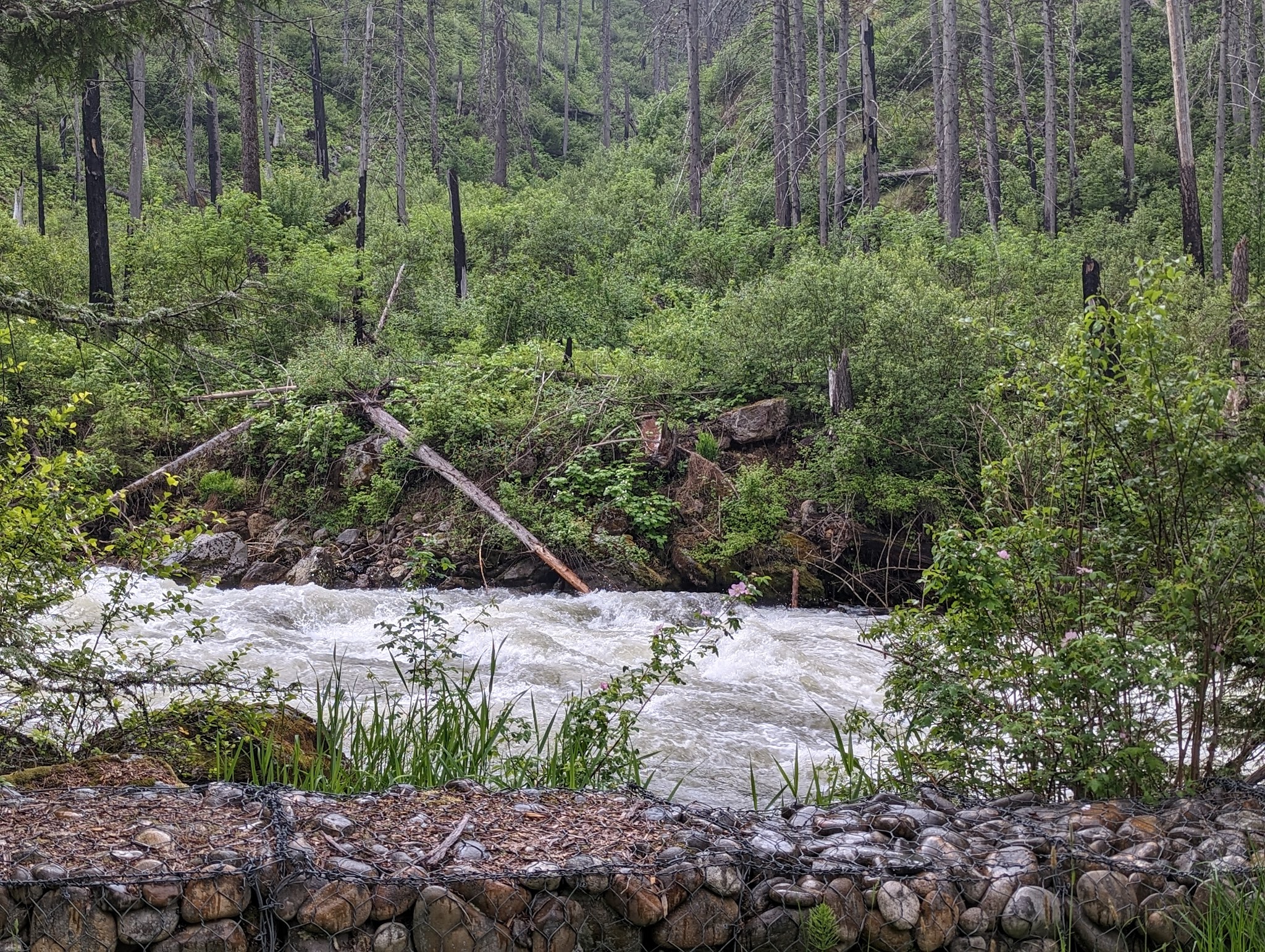 Selway Falls Campground