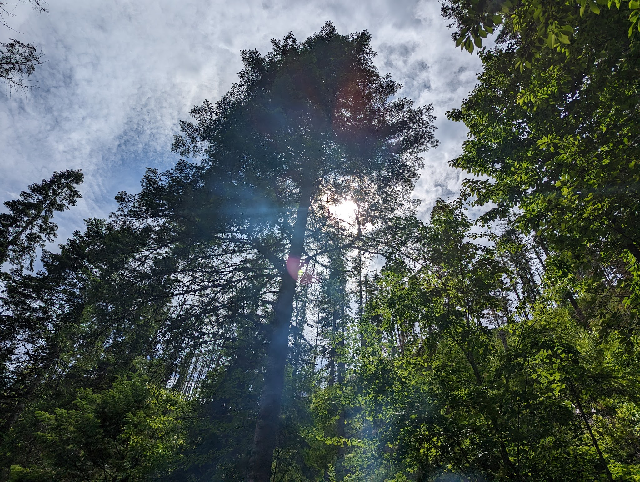 Selway Falls Campground