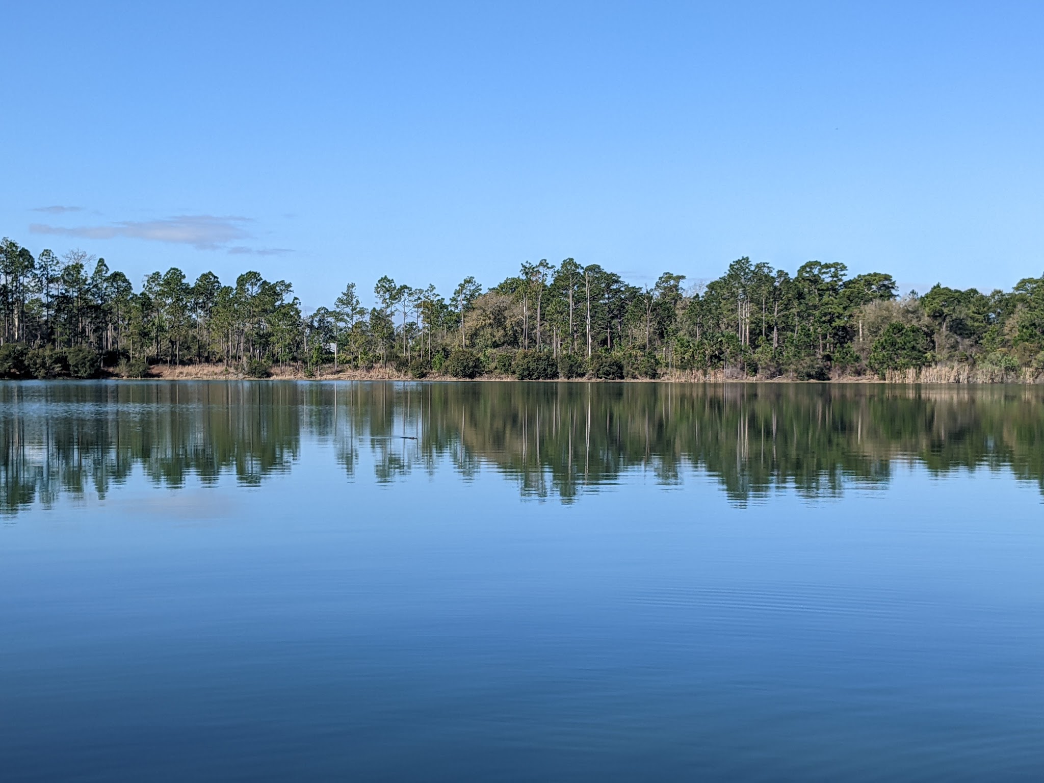 Seminole State Forest Primitive Campsites