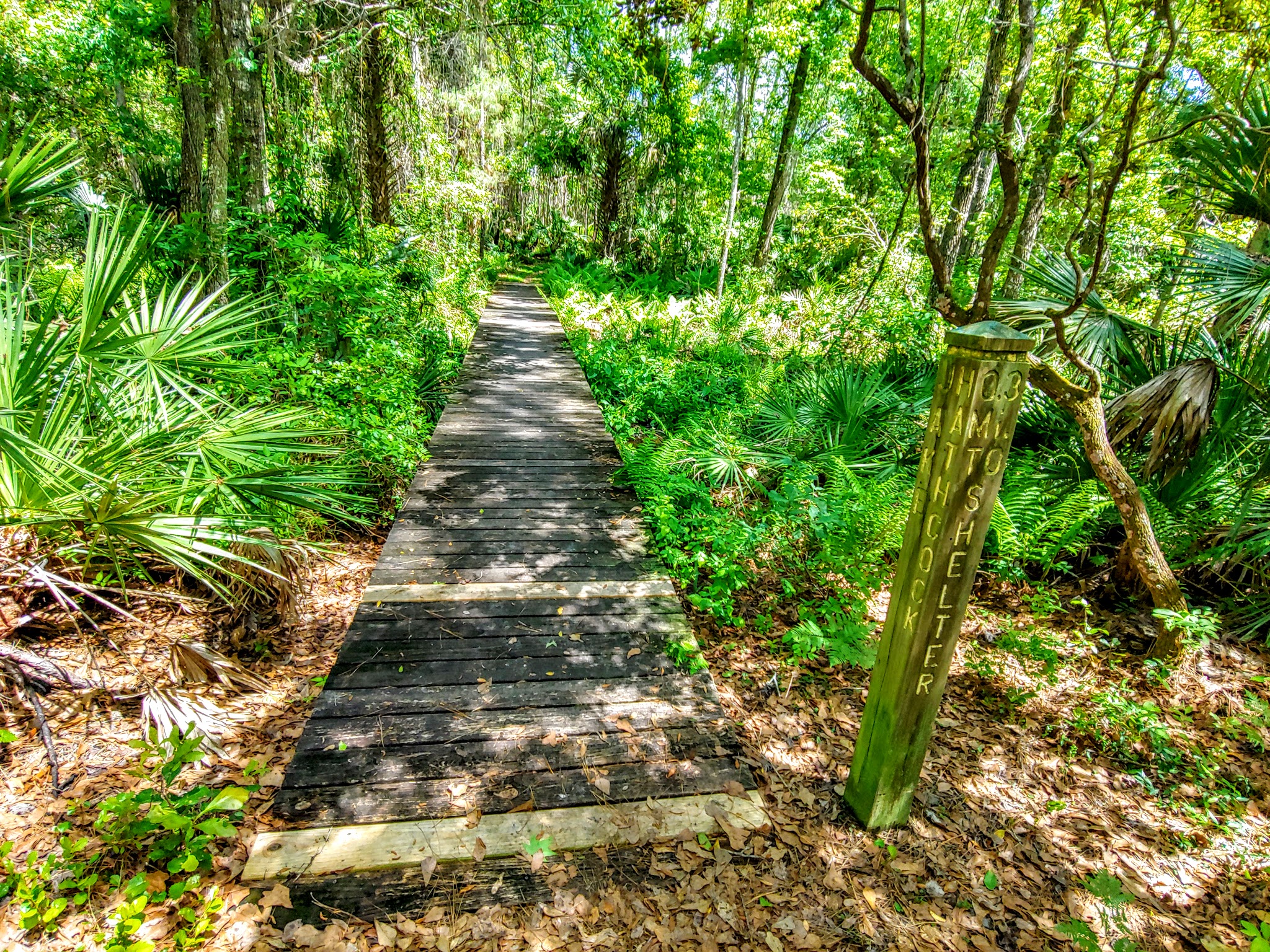 Seminole State Forest Primitive Campsites