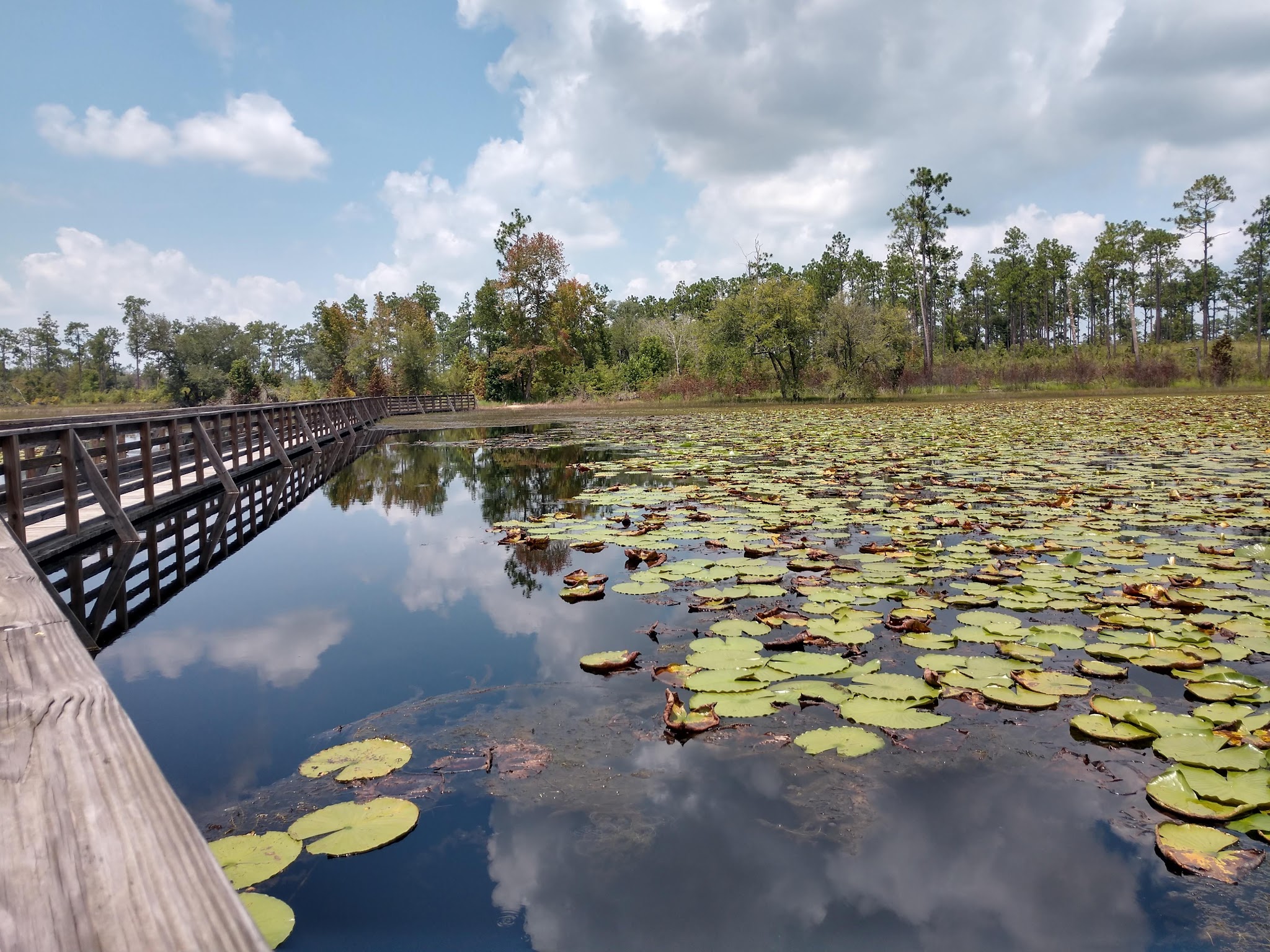 Seminole State Park