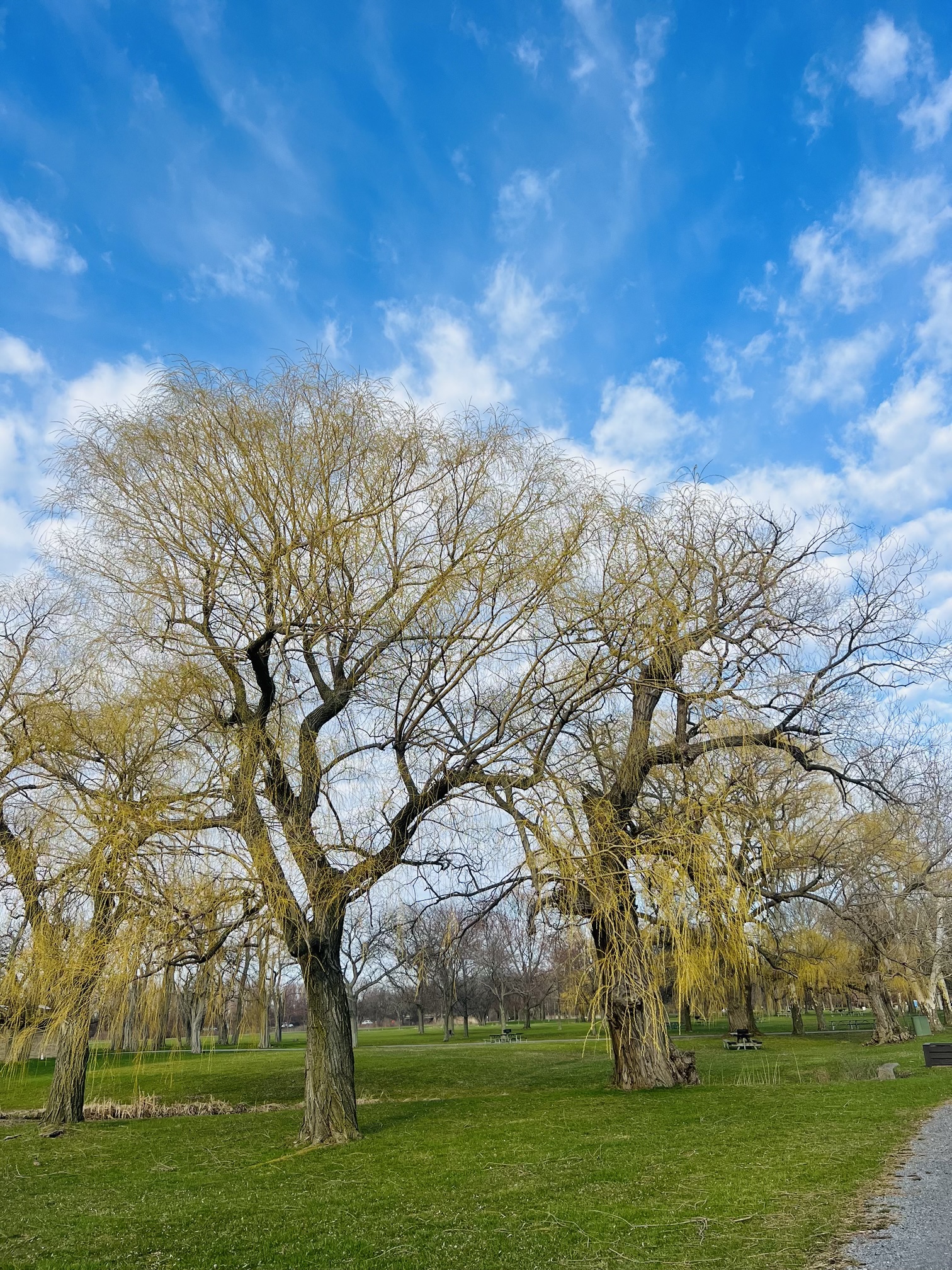 Seneca Lake State Park