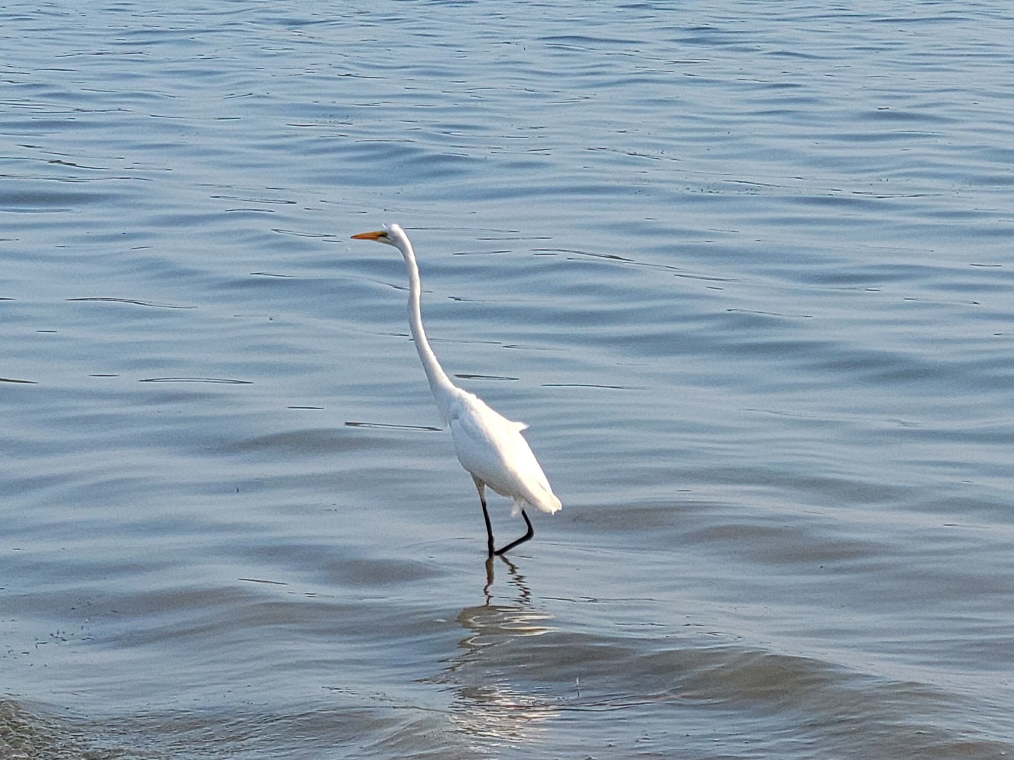 Seneca Lake State Park