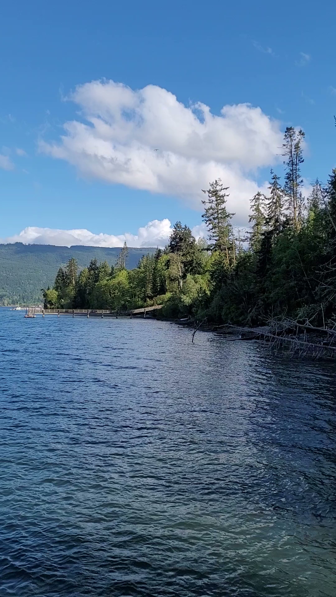 Sequim Bay State Park