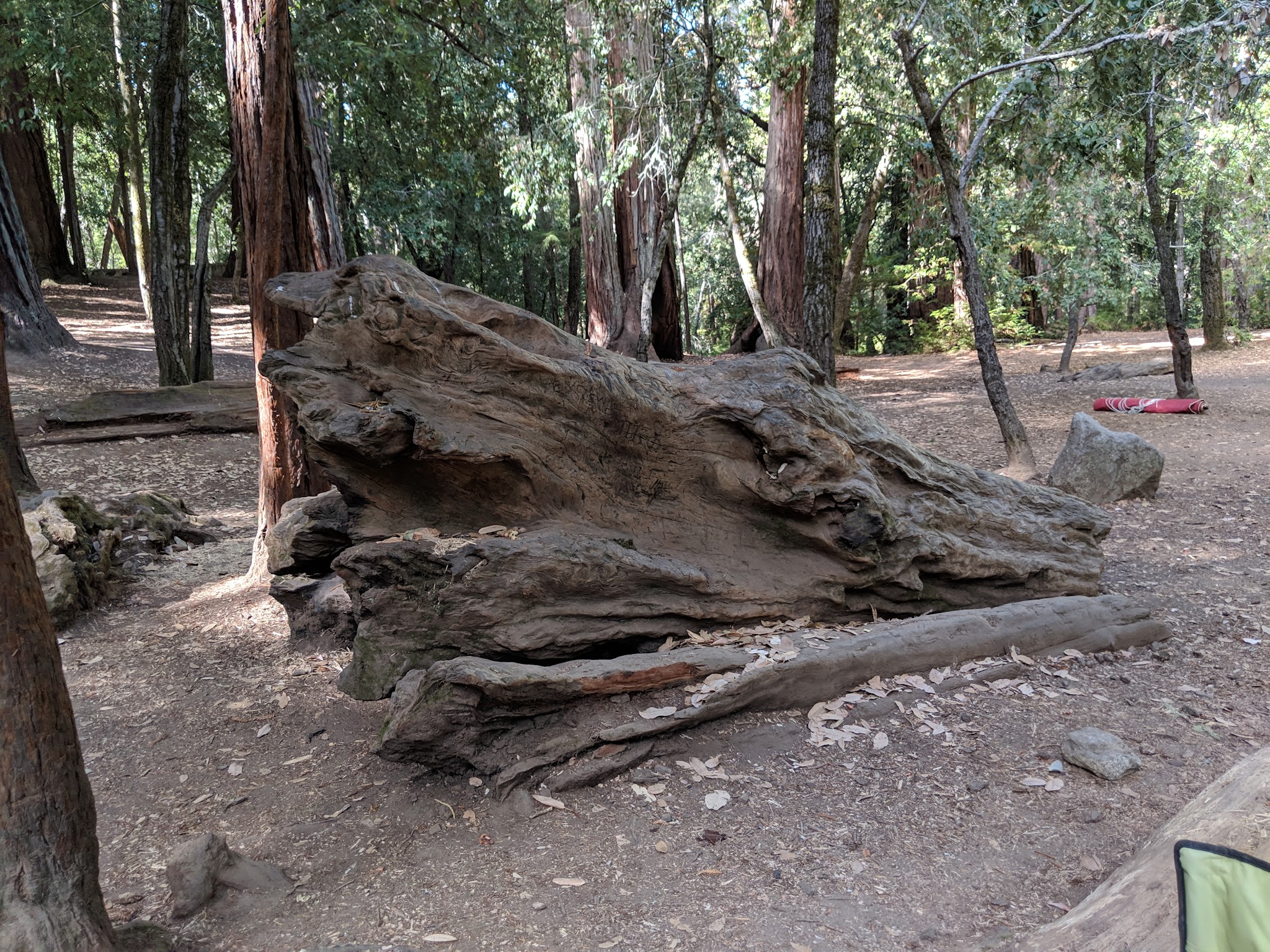 Sequoia Group 1 & 2 Campground