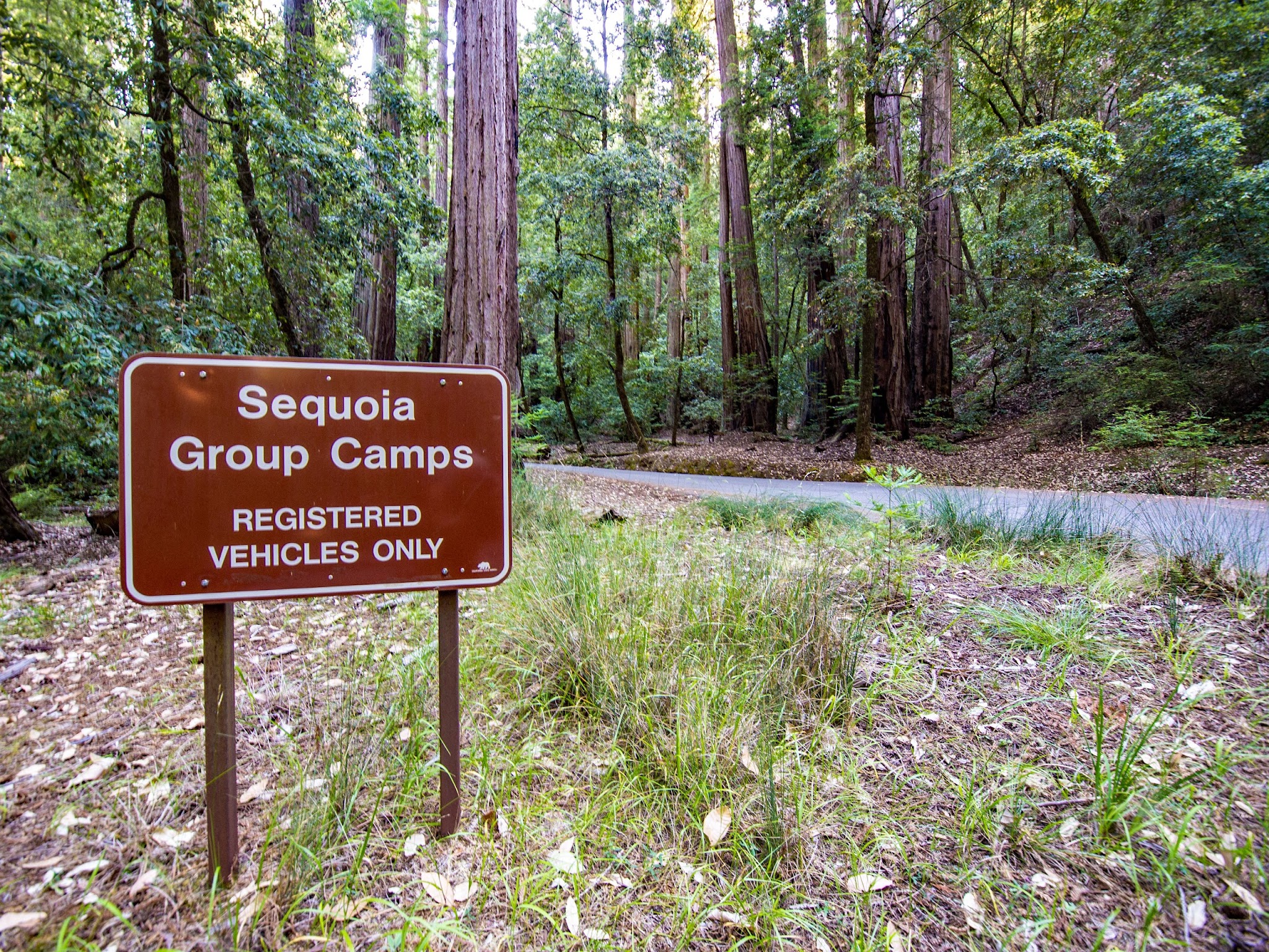 Sequoia Group 1 & 2 Campground