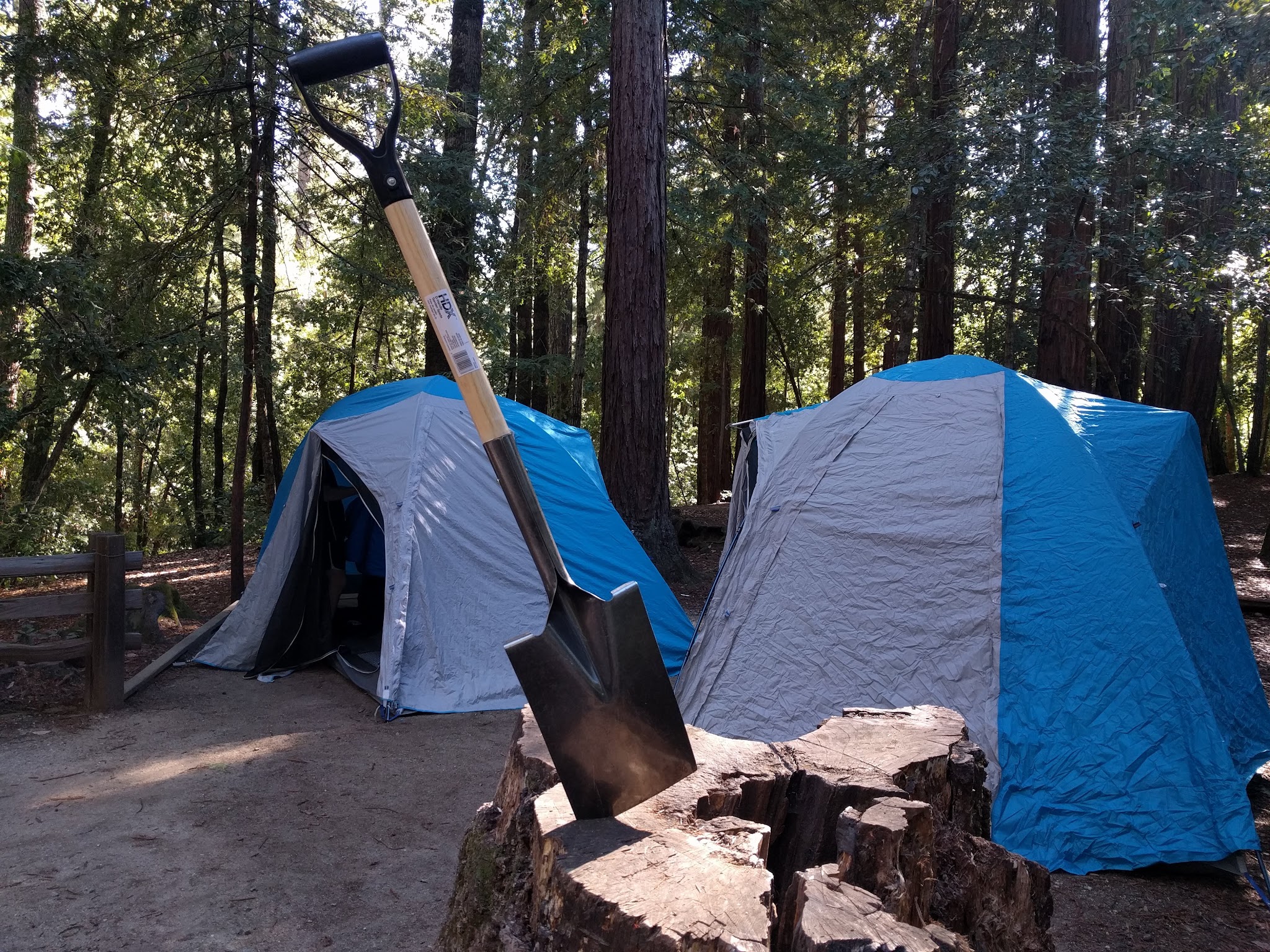 Sequoia Group 1 & 2 Campground
