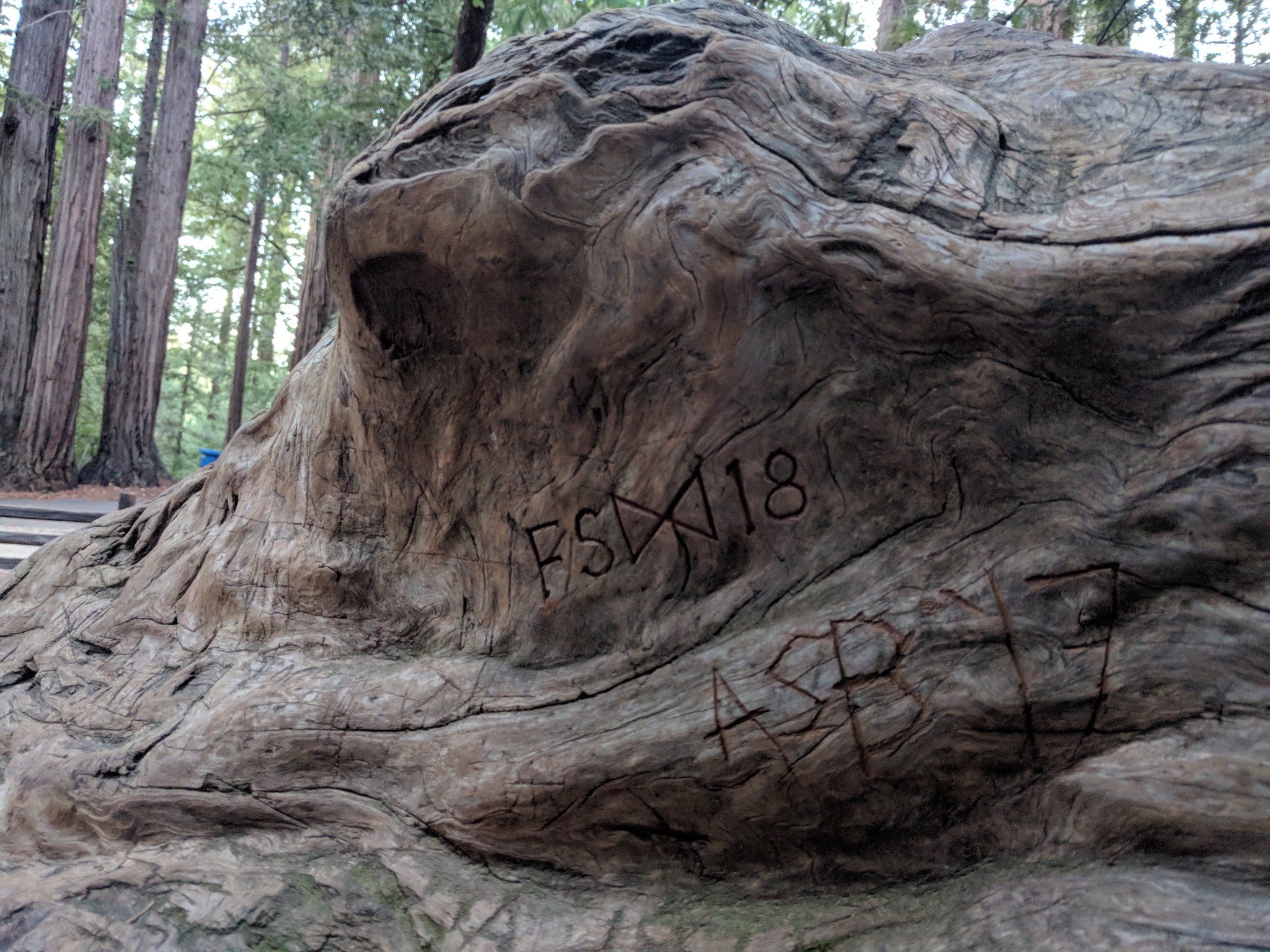 Sequoia Group 1 & 2 Campground