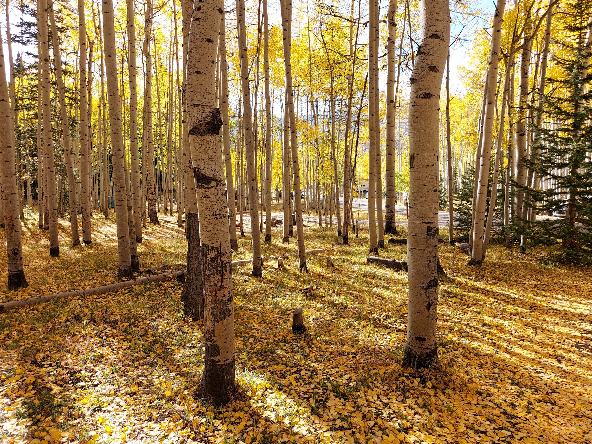 Silver Jack Campground (Co)