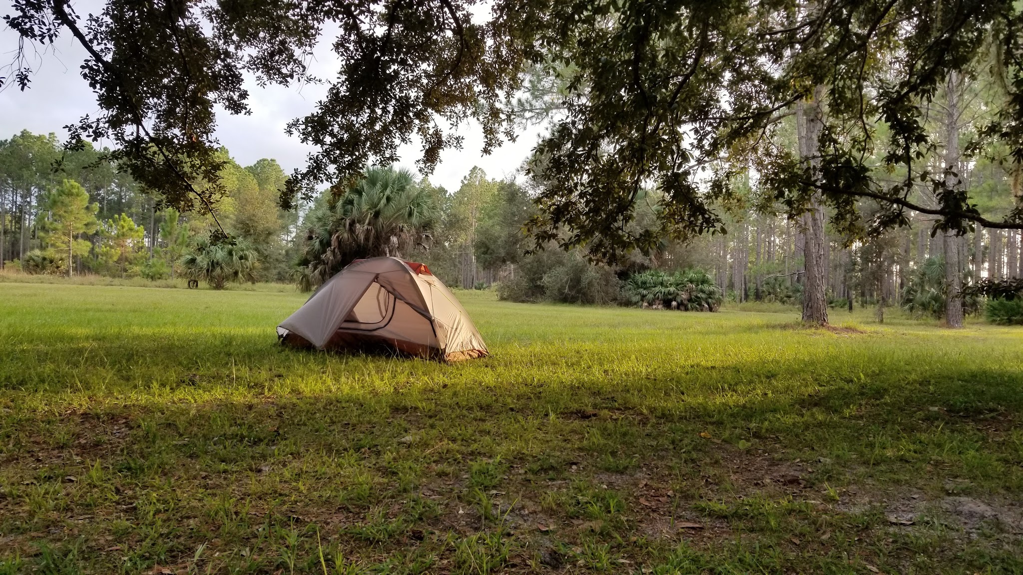 Seminole State Forest Primitive Campsites