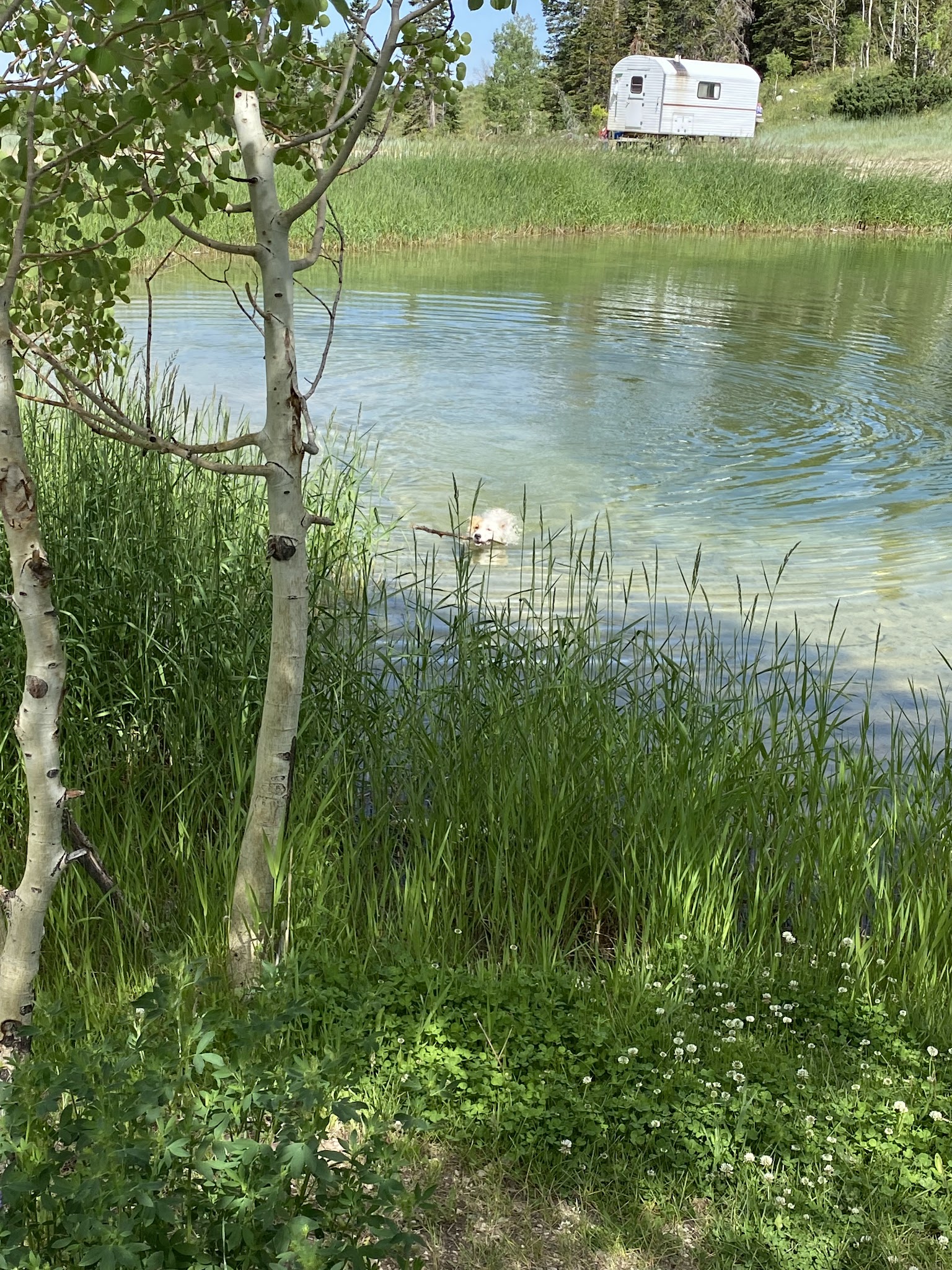 Upper Six Mile Ponds Campground