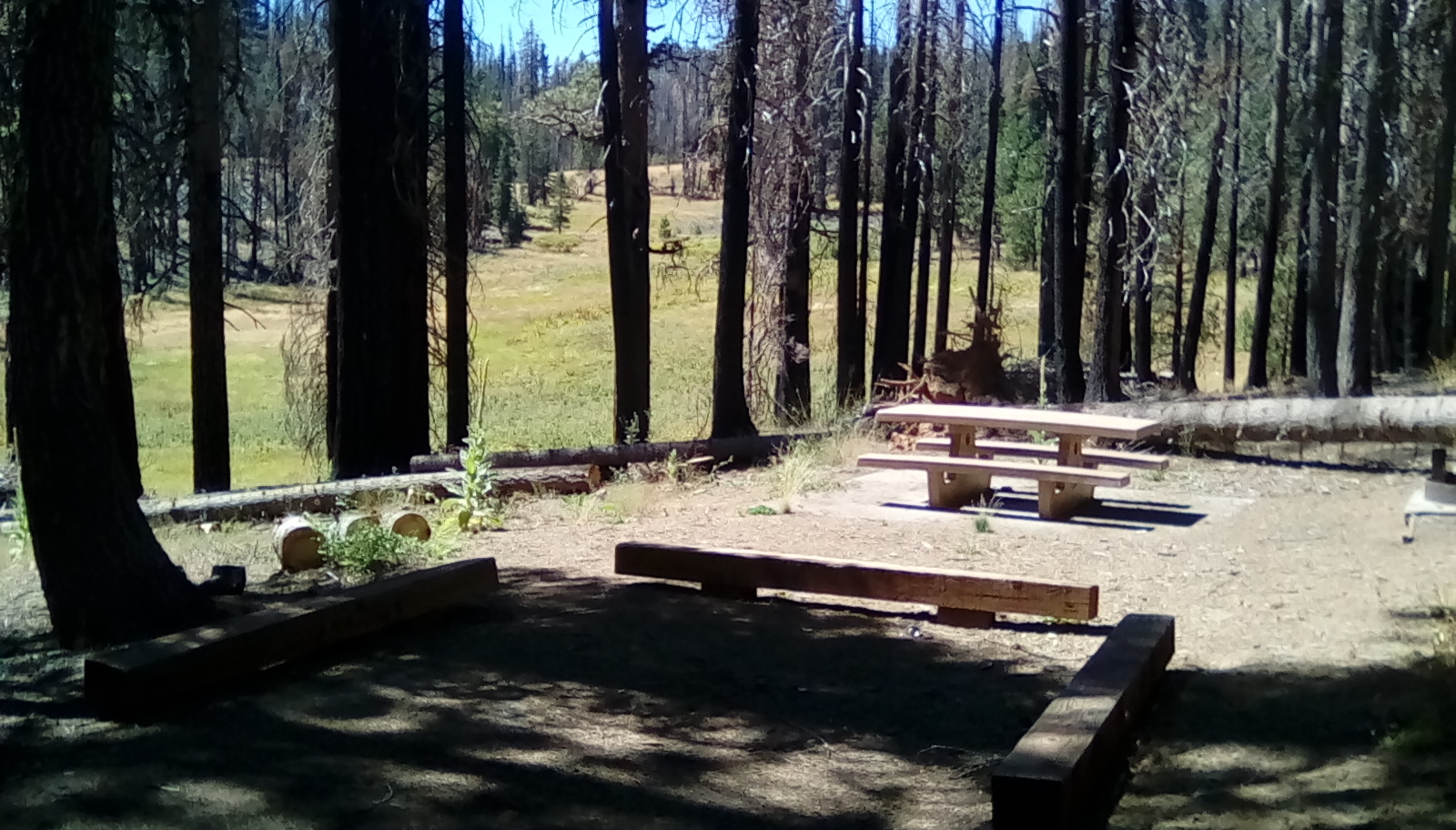 Plaskett Meadows Campground