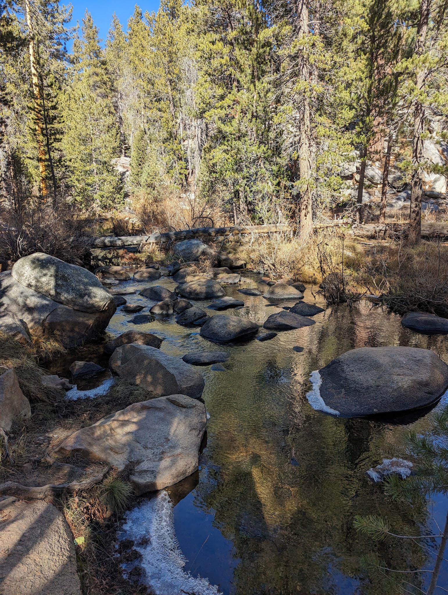 Troy Meadow Campground