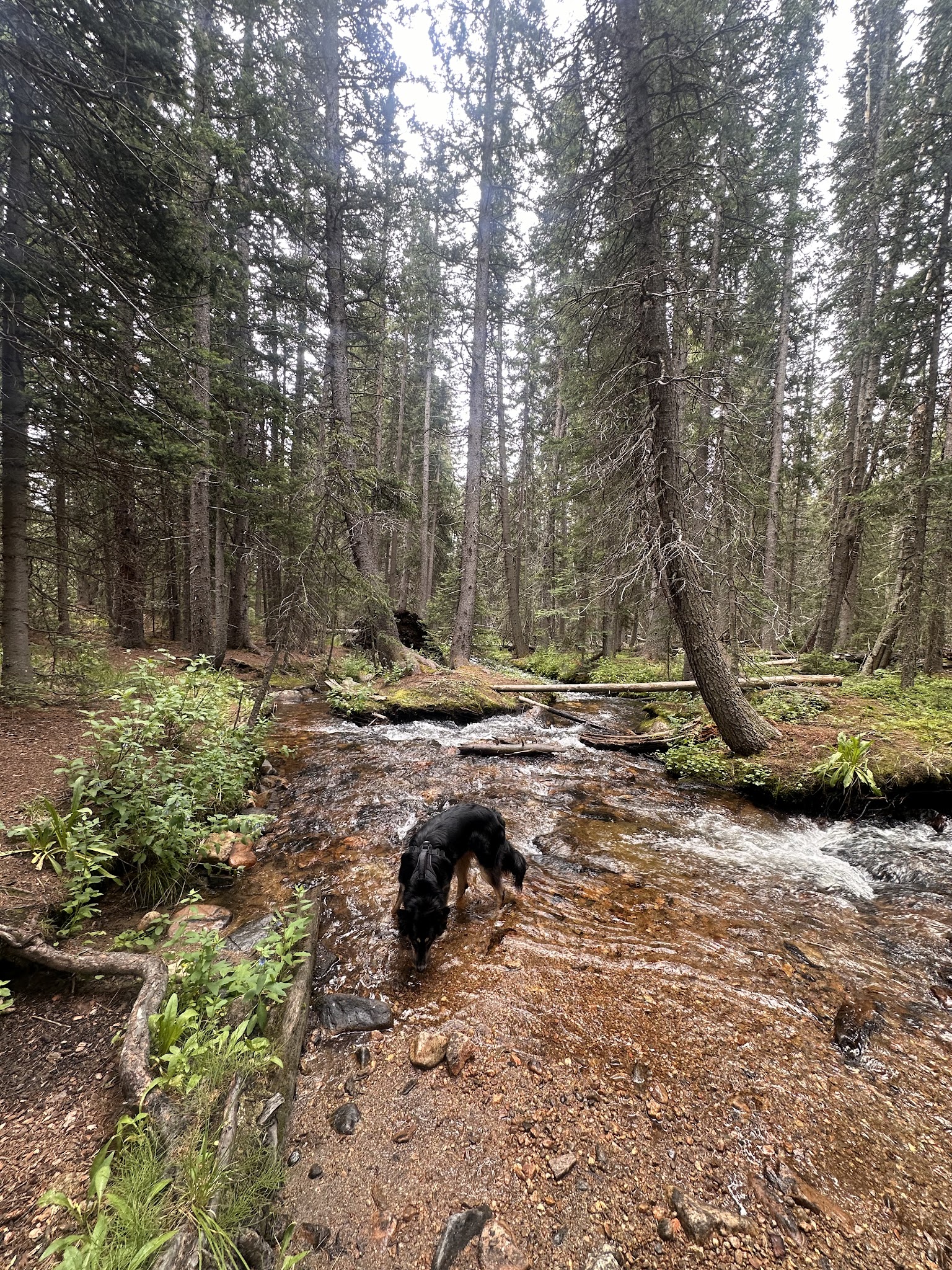 Deer Creek Campground
