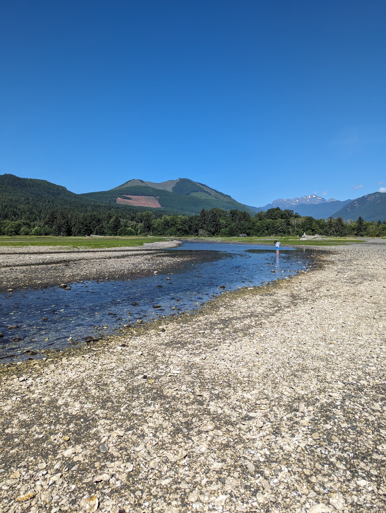 Dosewallips State Park