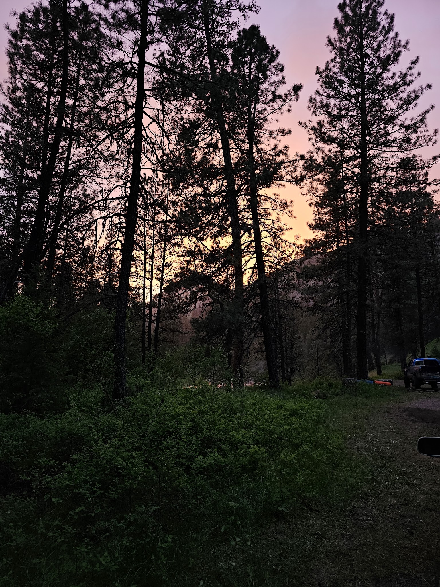 Driftwood Campground