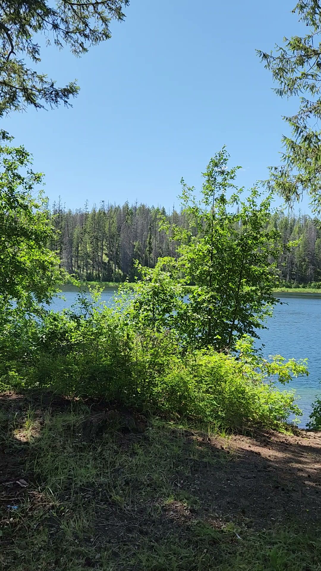 Ferry Lake Campground