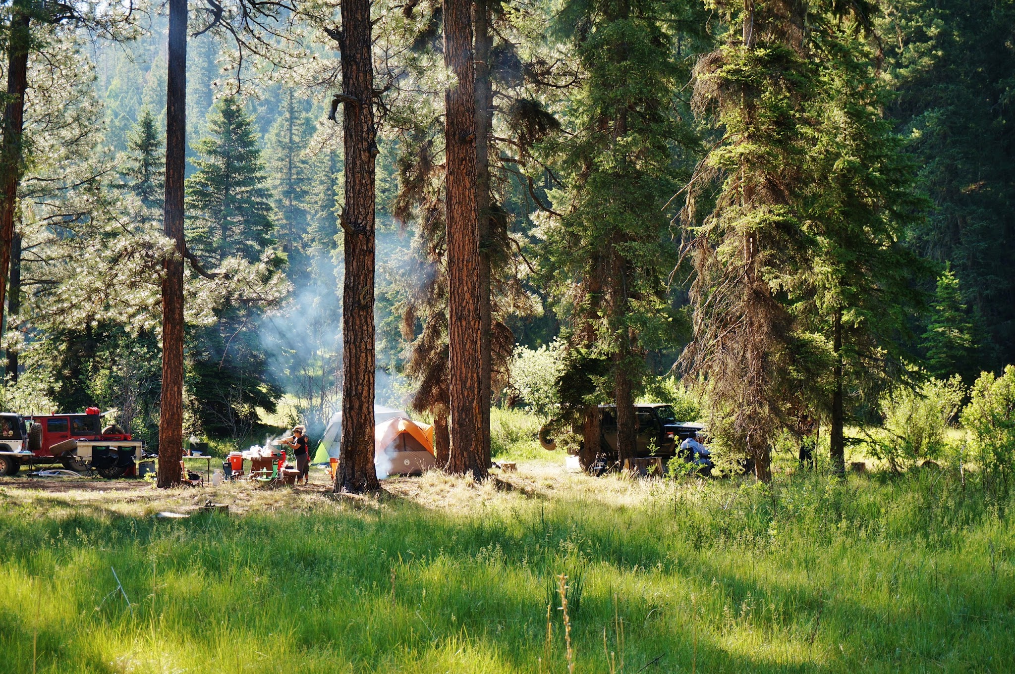 Ben Lilly Campground
