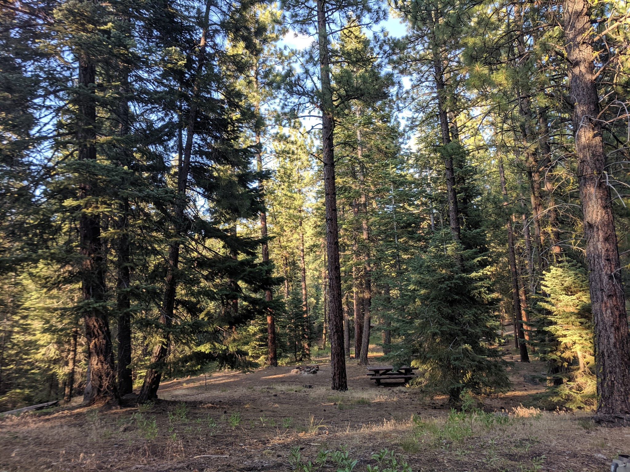 Mill Creek Falls Campground