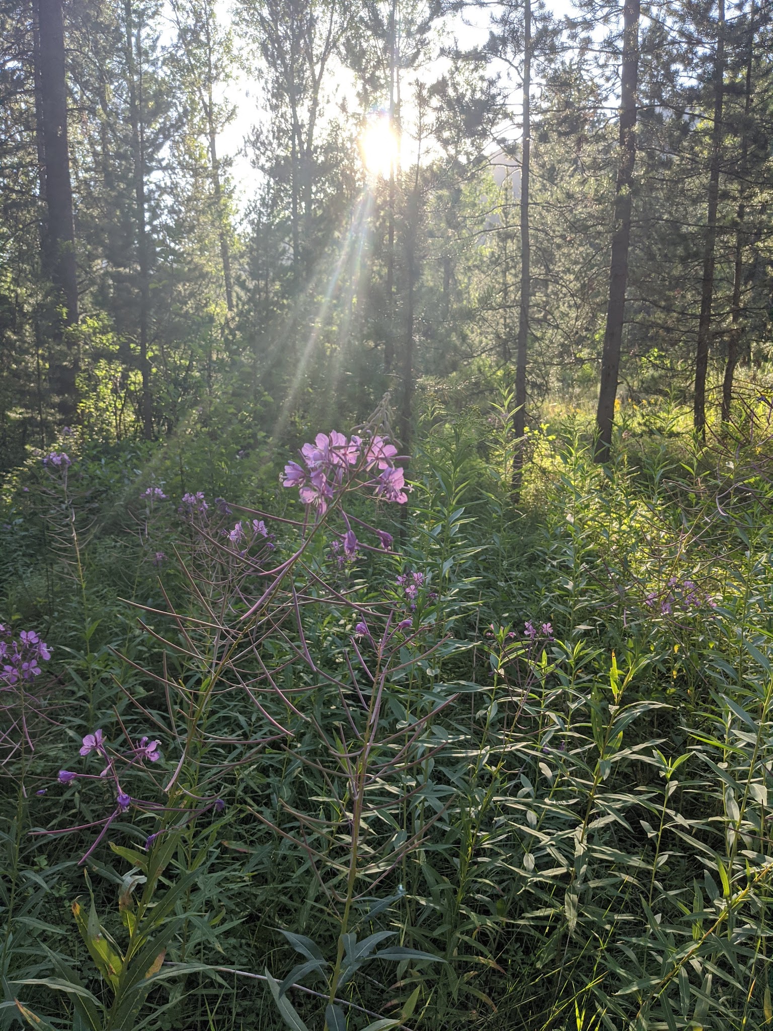 East Table Campground