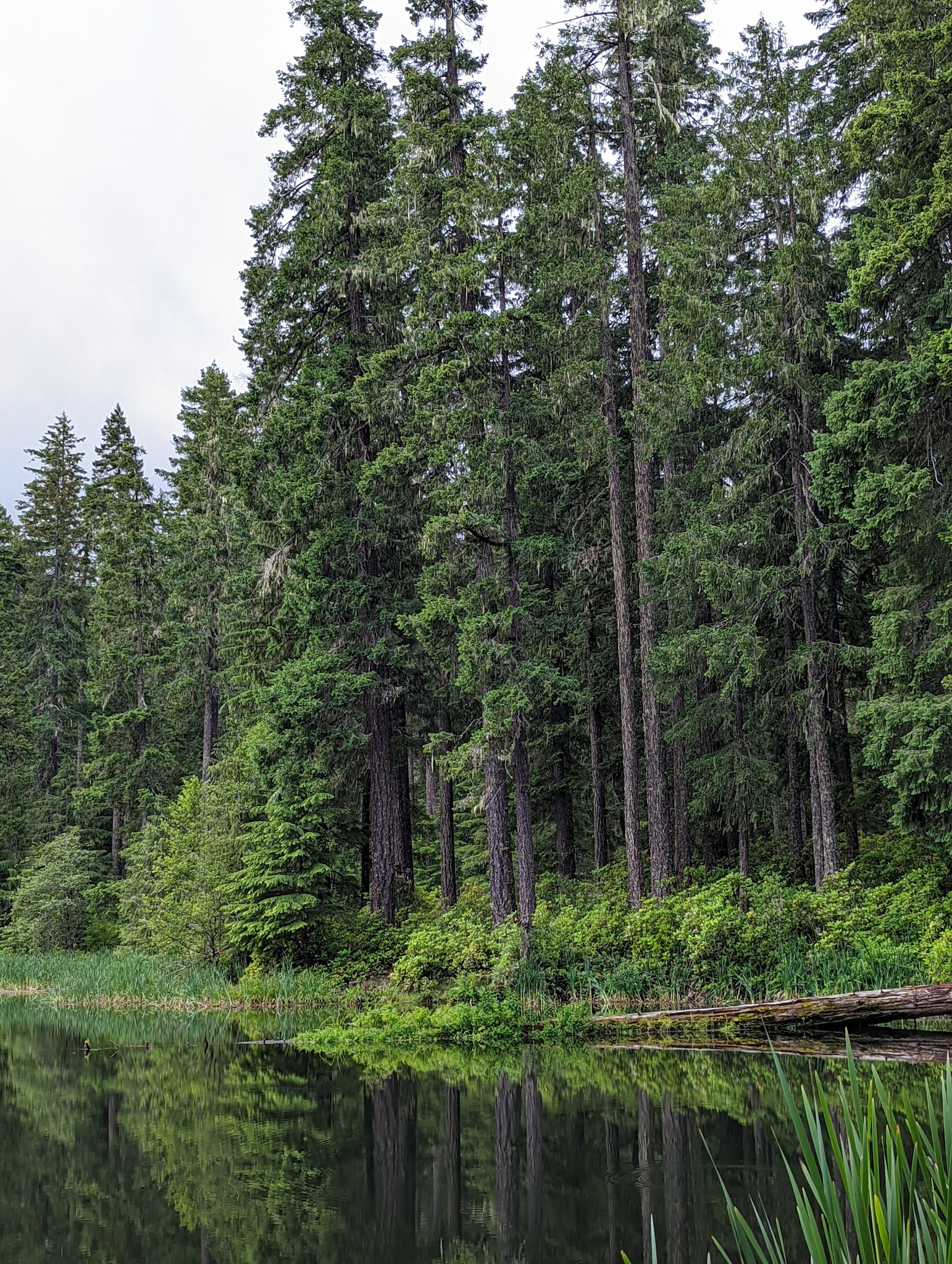 Lake In The Woods Campground