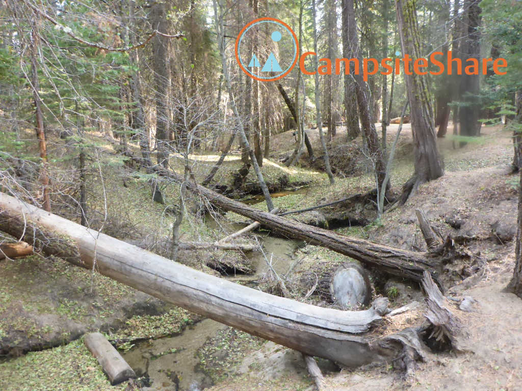 Little Jackass Campground