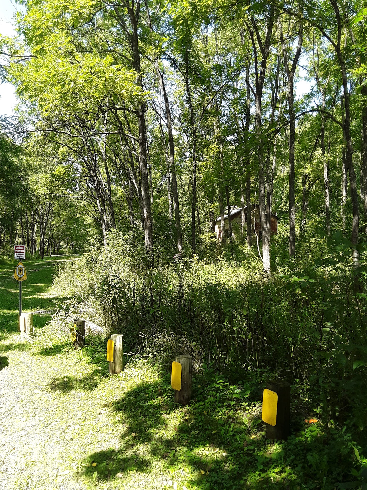 Ring Mill Campground