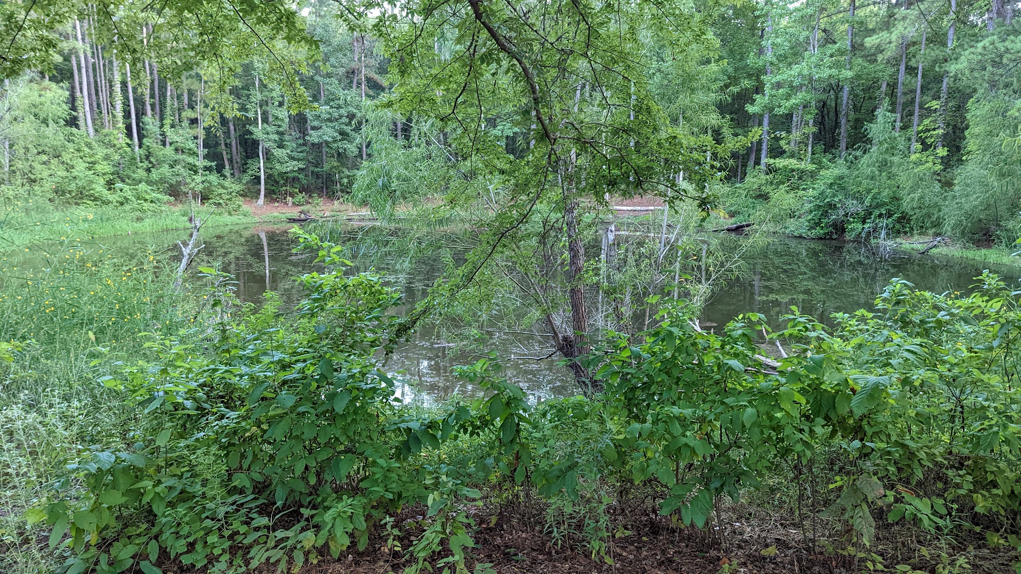 Kelly'S Pond Campground: (936) 344-6205