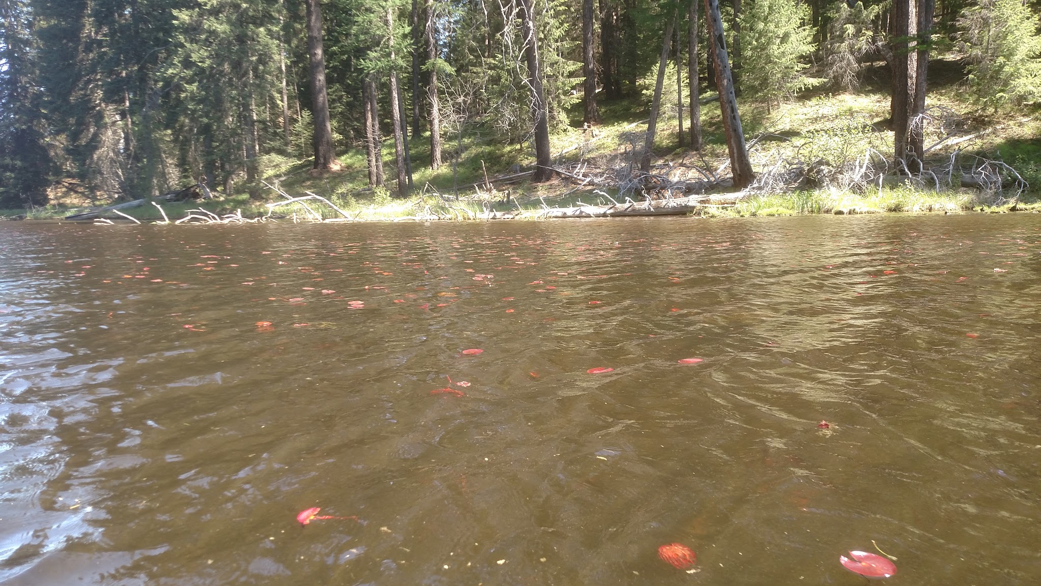 Lake Thomas Campground
