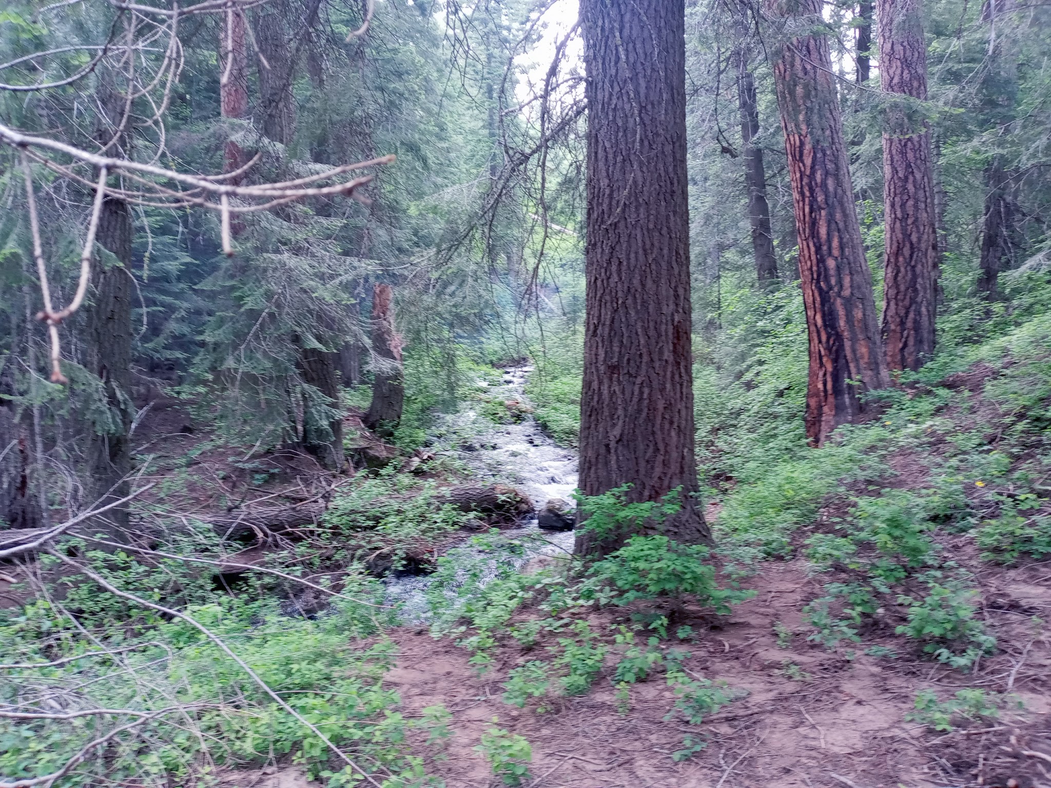 Spring Creek Campground