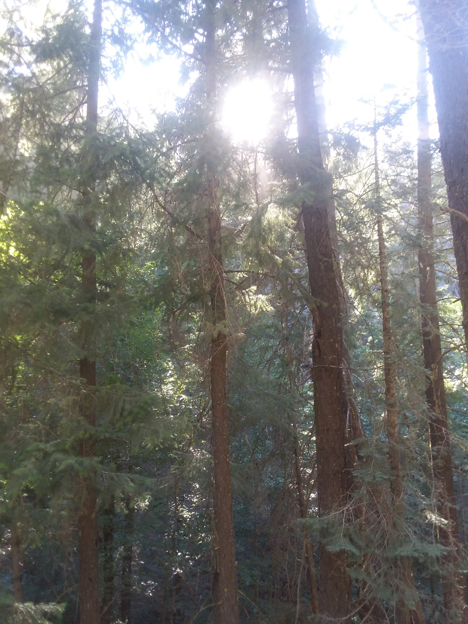 Snake Lake Campground And Equestrian Camp