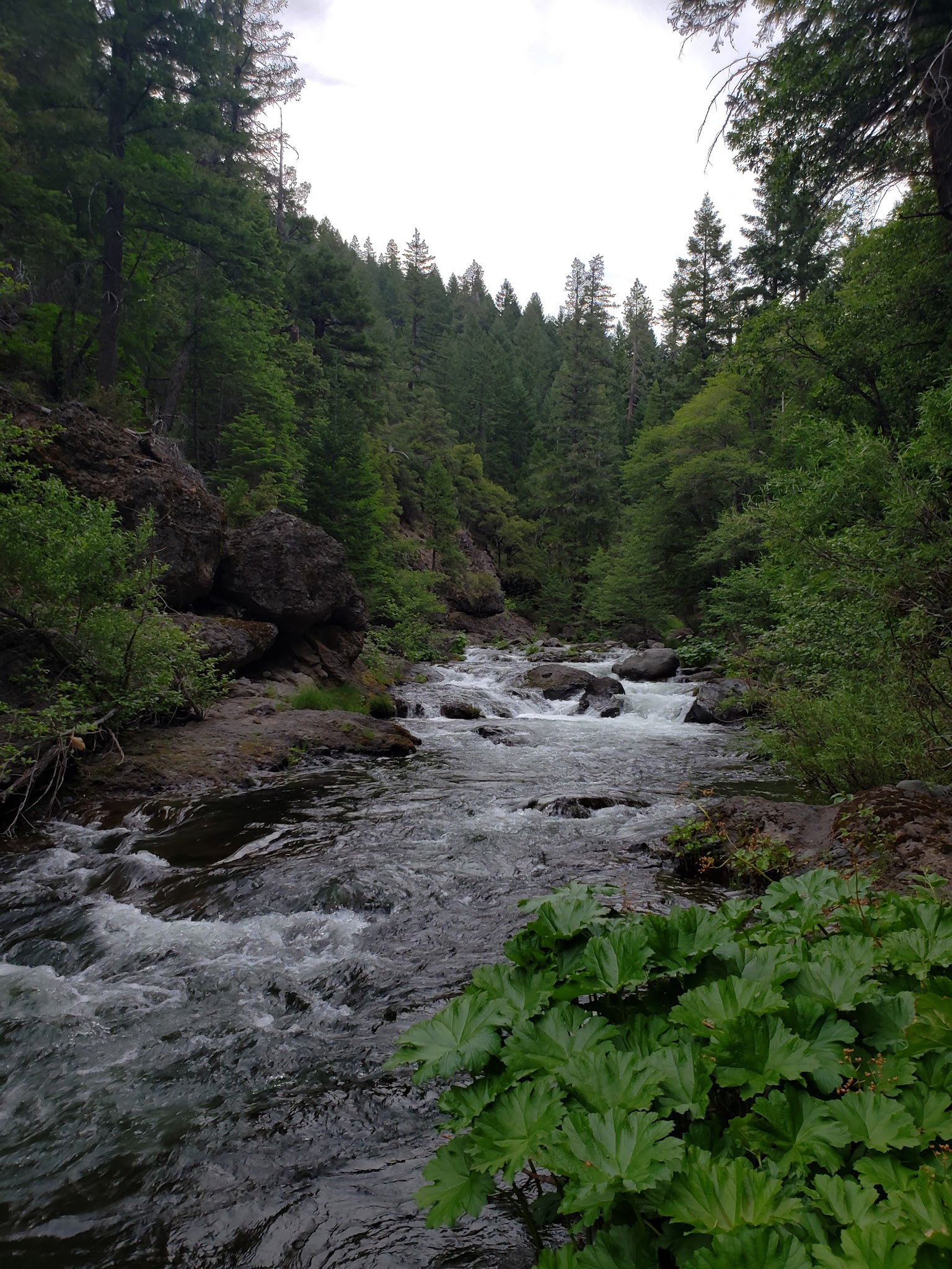 Alder Creek Campground