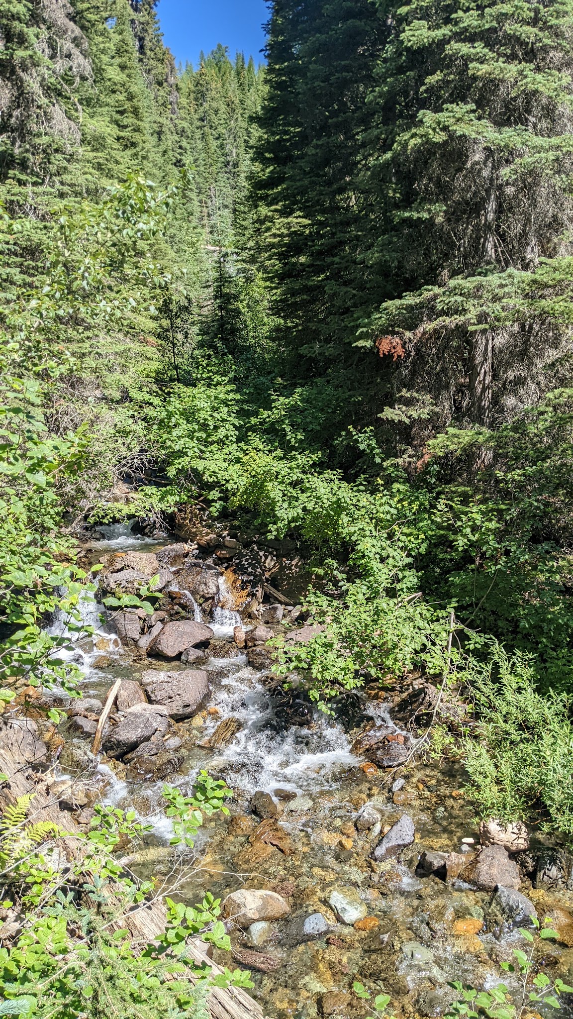 Red Meadow Lake Campground
