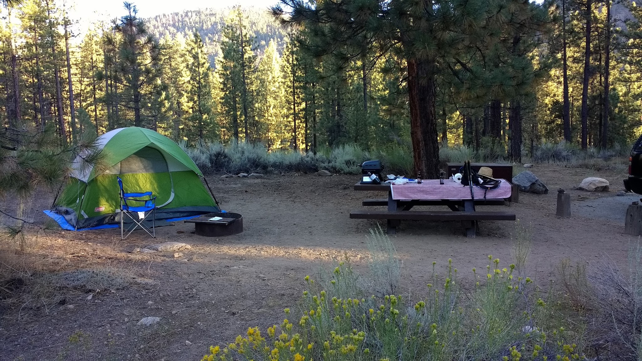 Heart Bar Campground - San Bernardino National Forest