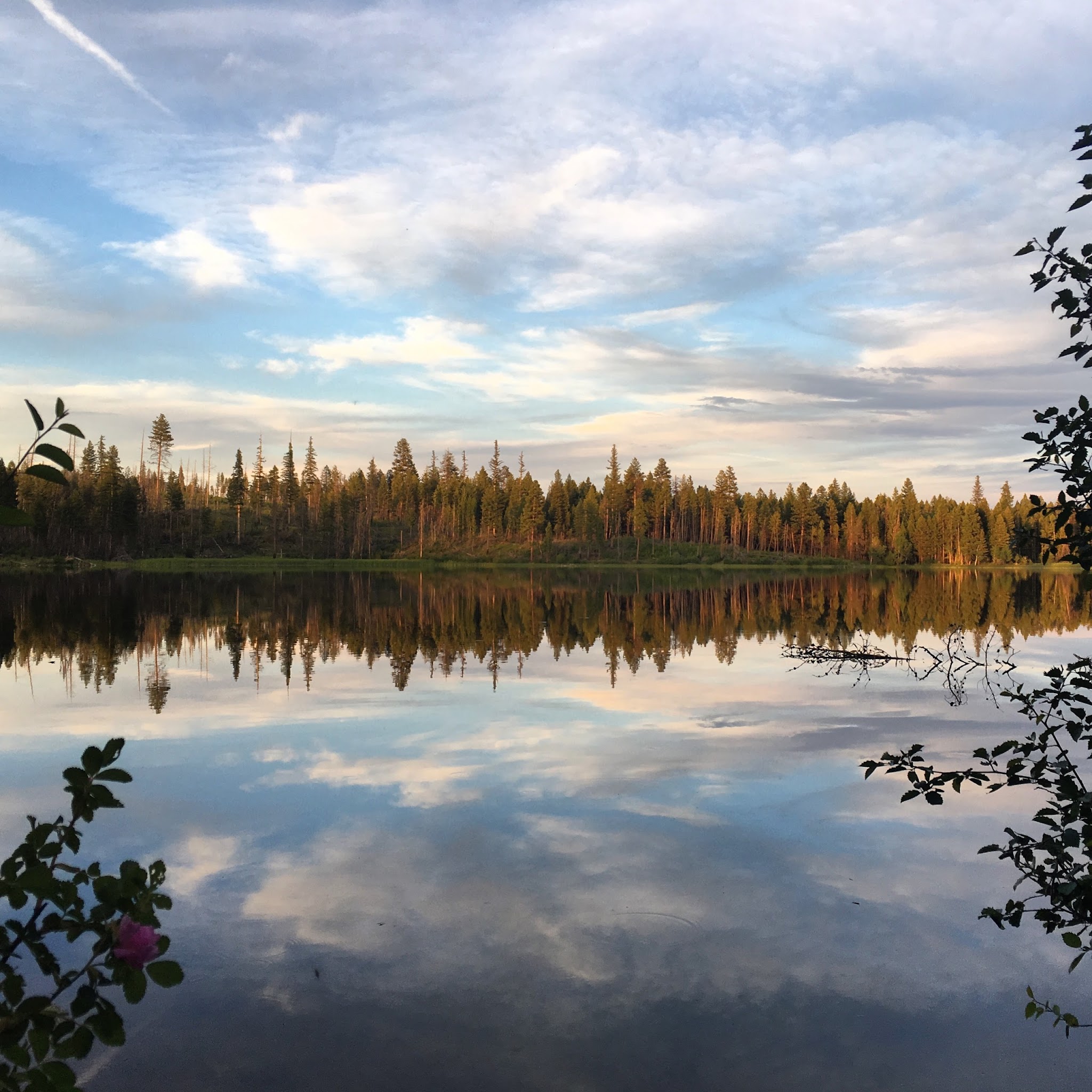 Hidden Lake Campground