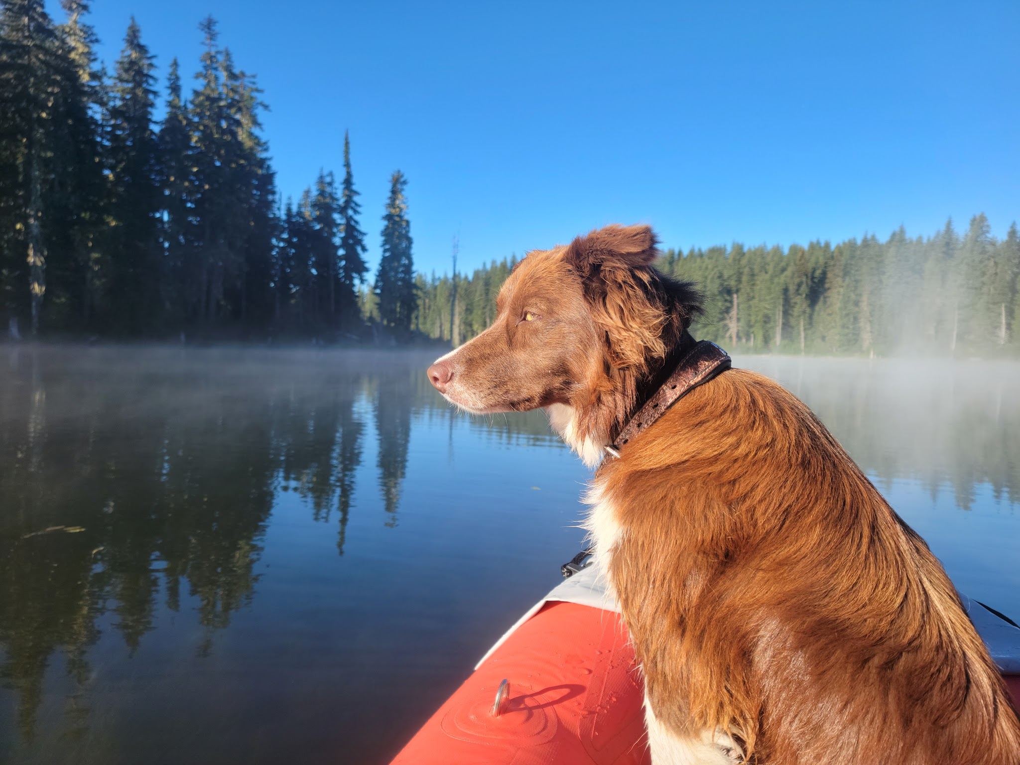Campground: Horseshoe Lake