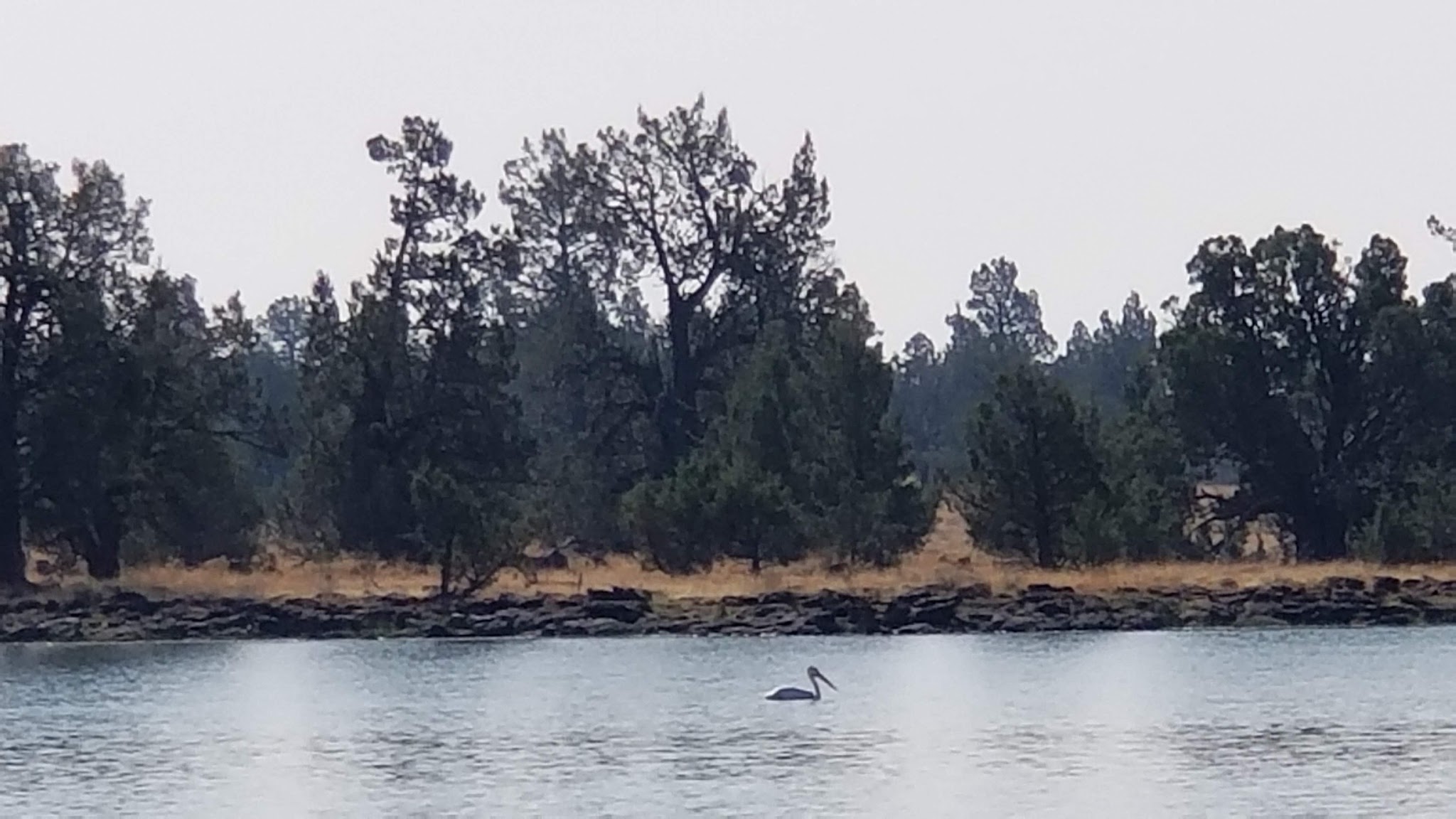 Reservoir C Campground