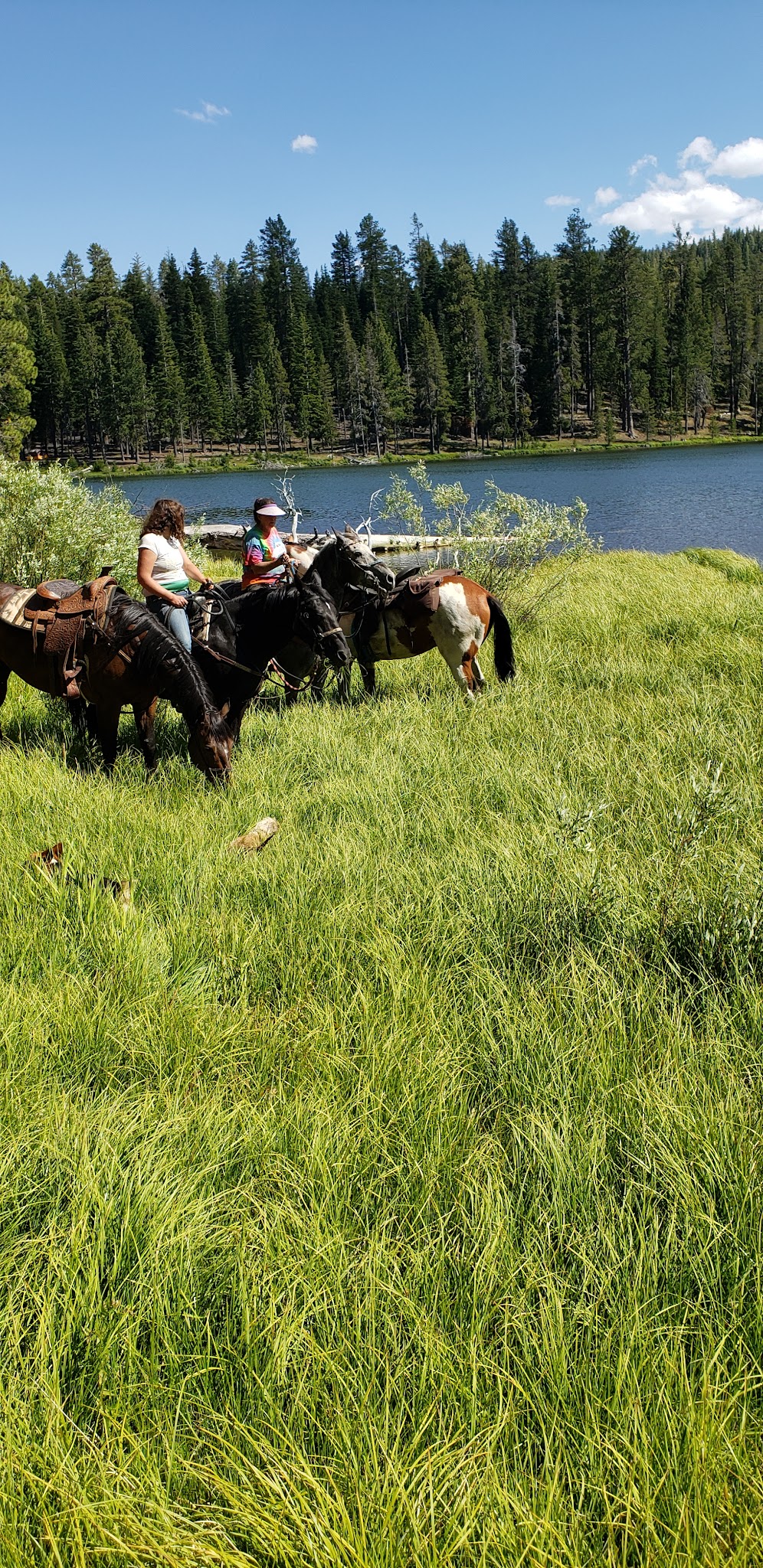 Cottonwood Recreation Area Campground