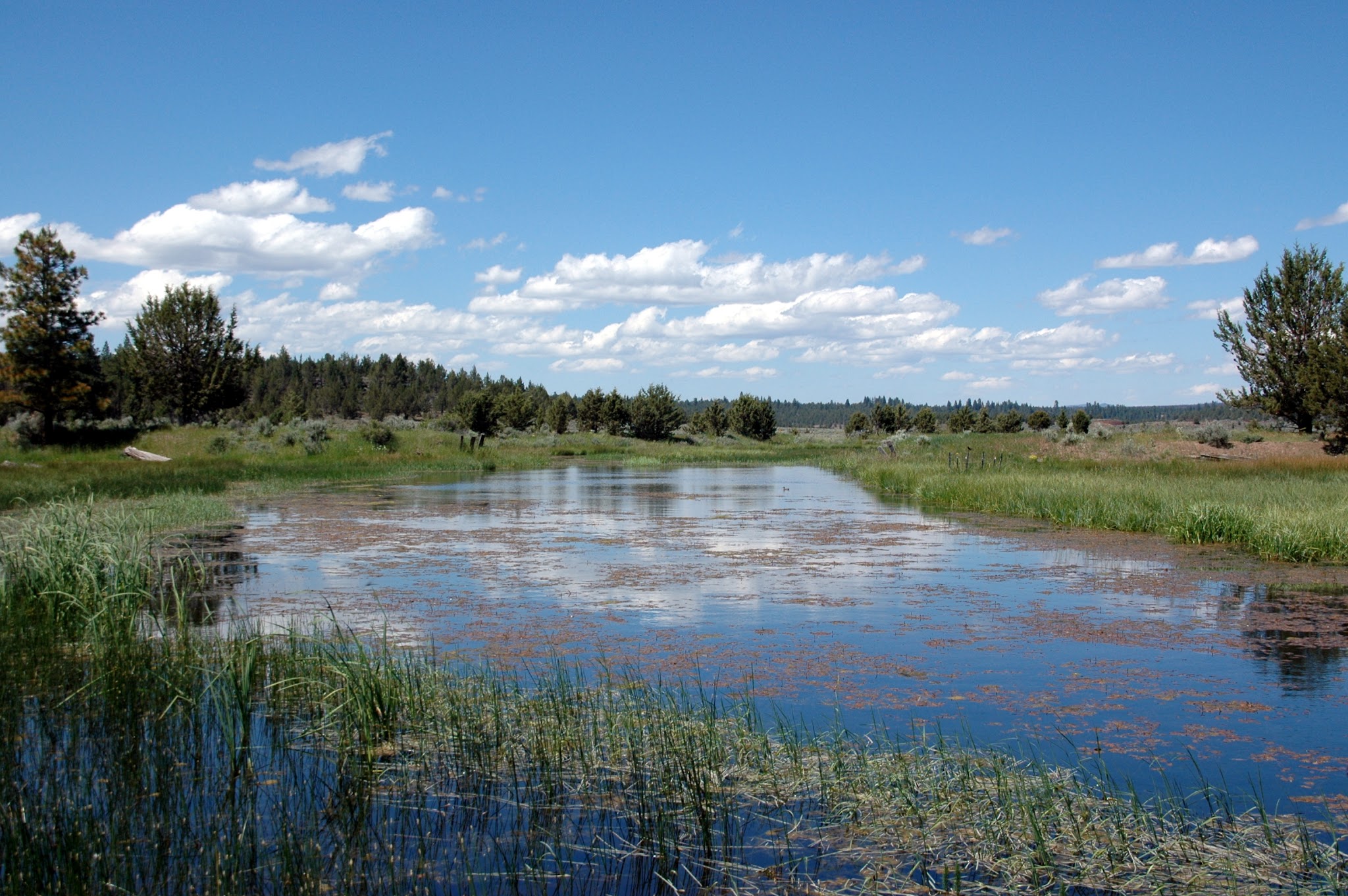 Jane'S Reservoir Campground